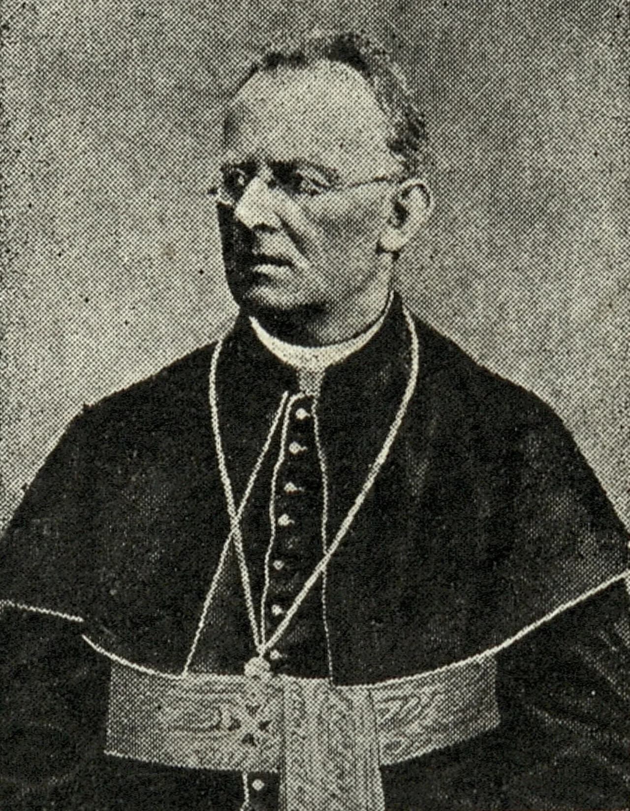 Matija Erjavec