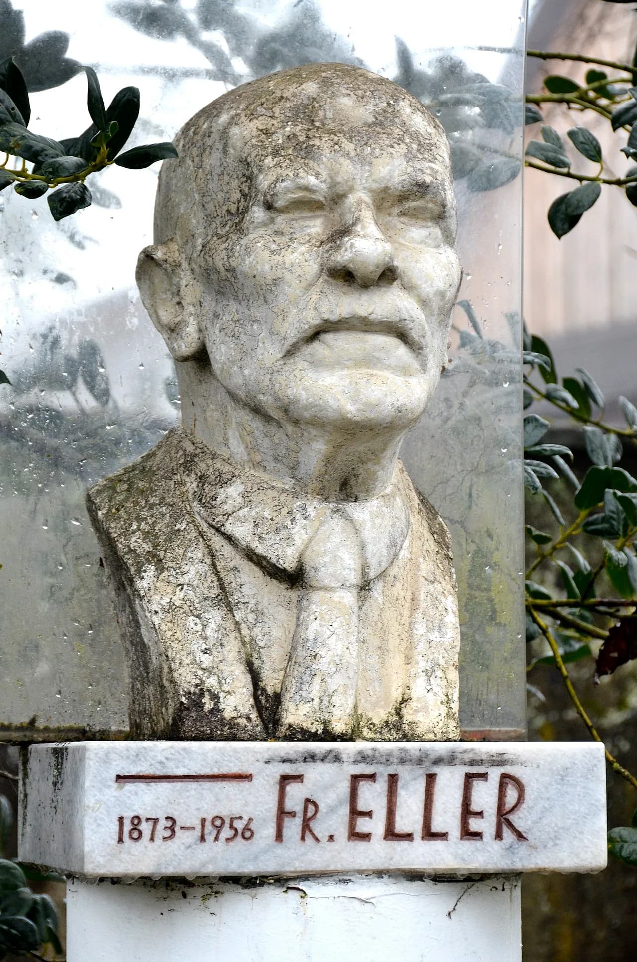 Fran Eller