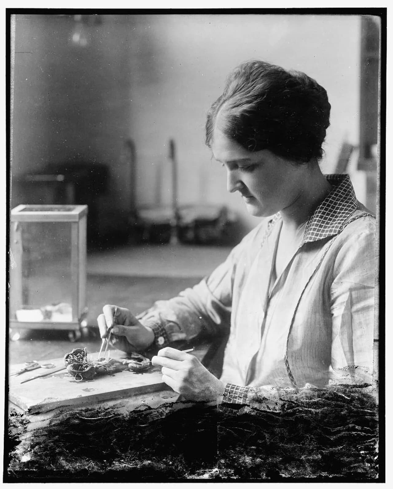 Eloise Blaine Cram