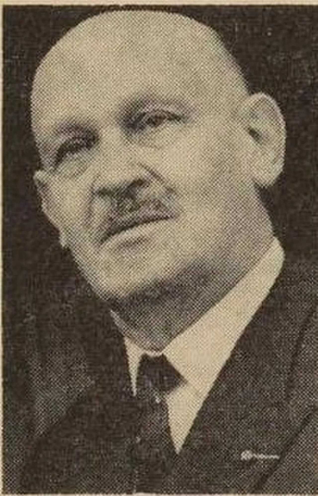 Narcisse Pavot