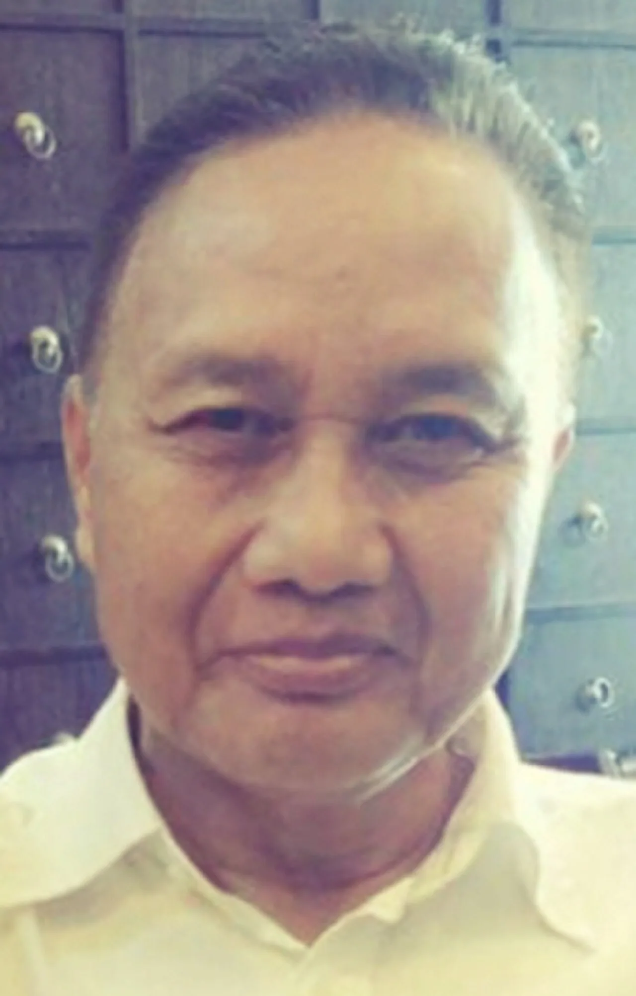 Johanis Palar Mogea