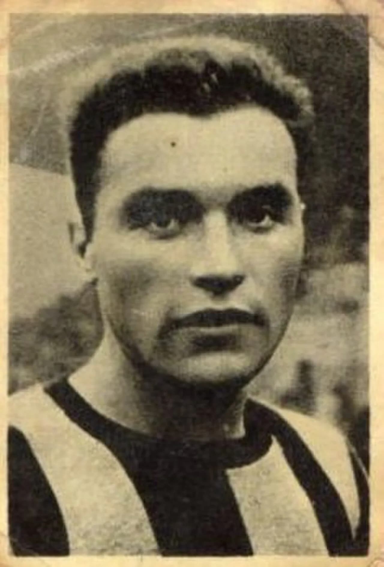 Severo Cominelli