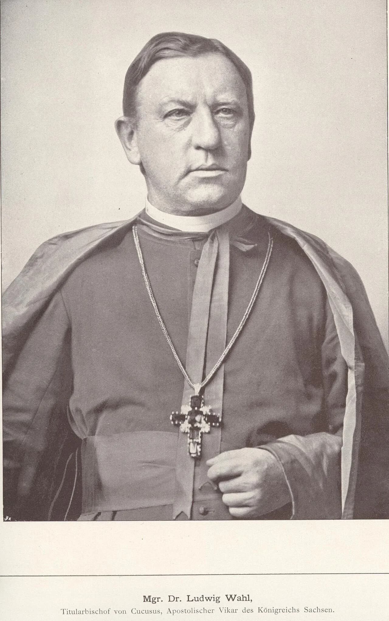 Ludwig Wahl
