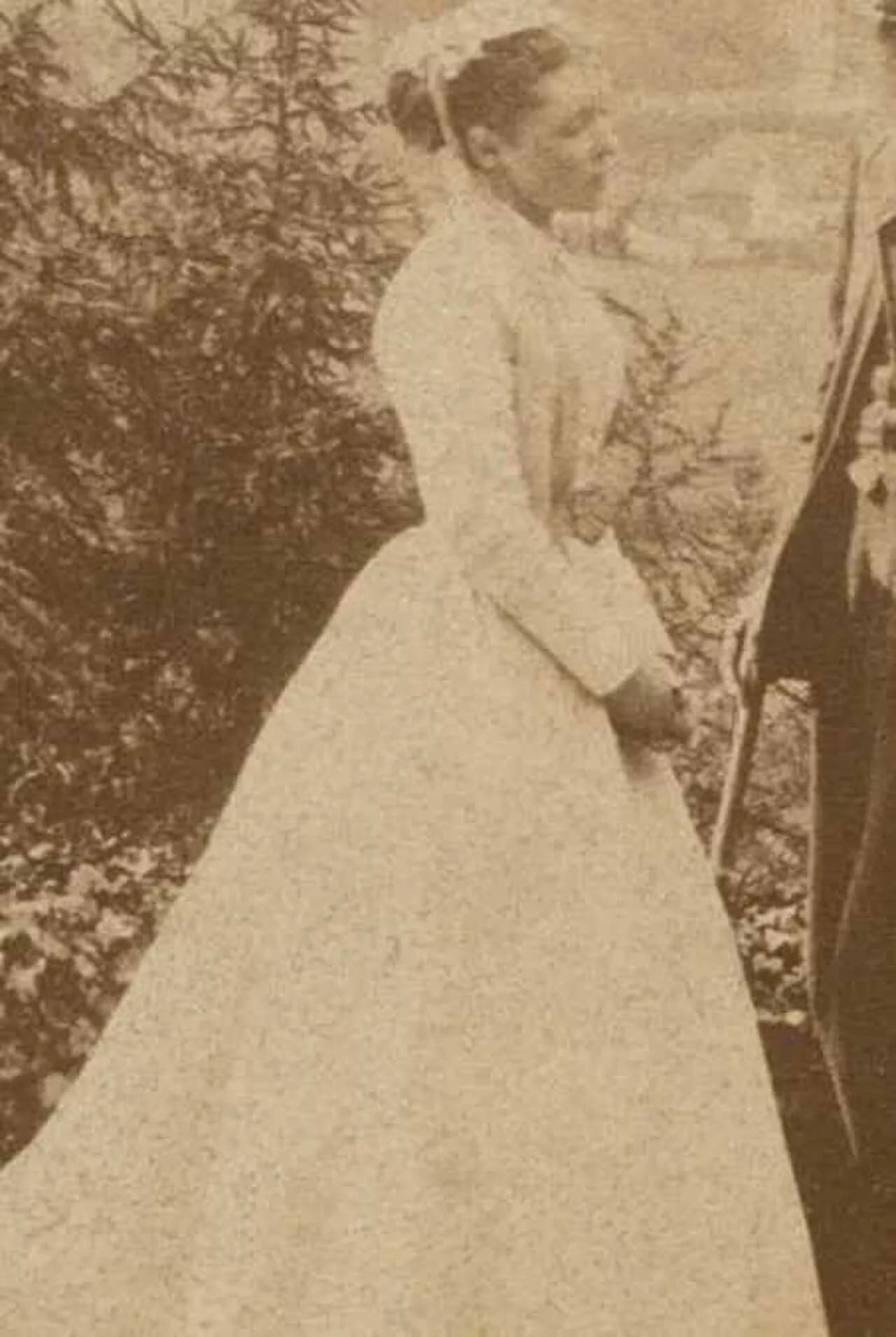Harriet Stephen