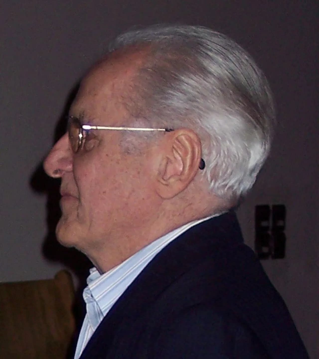 Manfred Haiduk