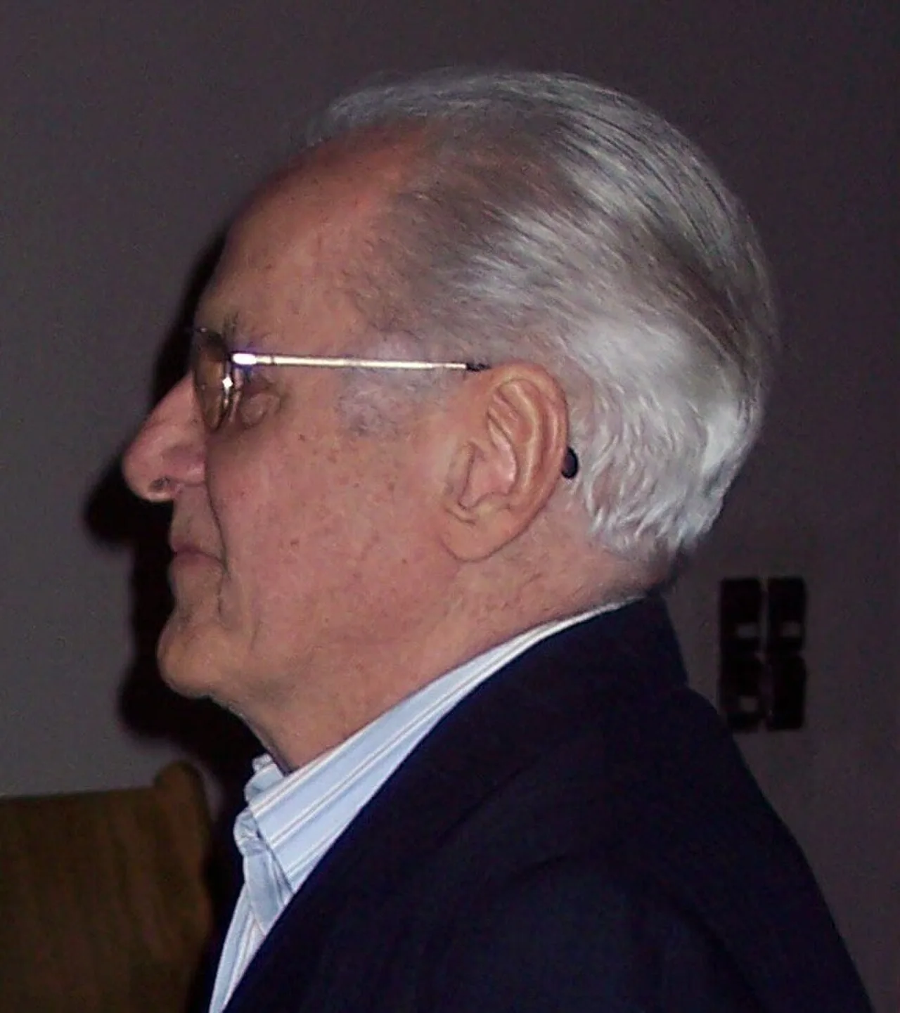 Manfred Haiduk