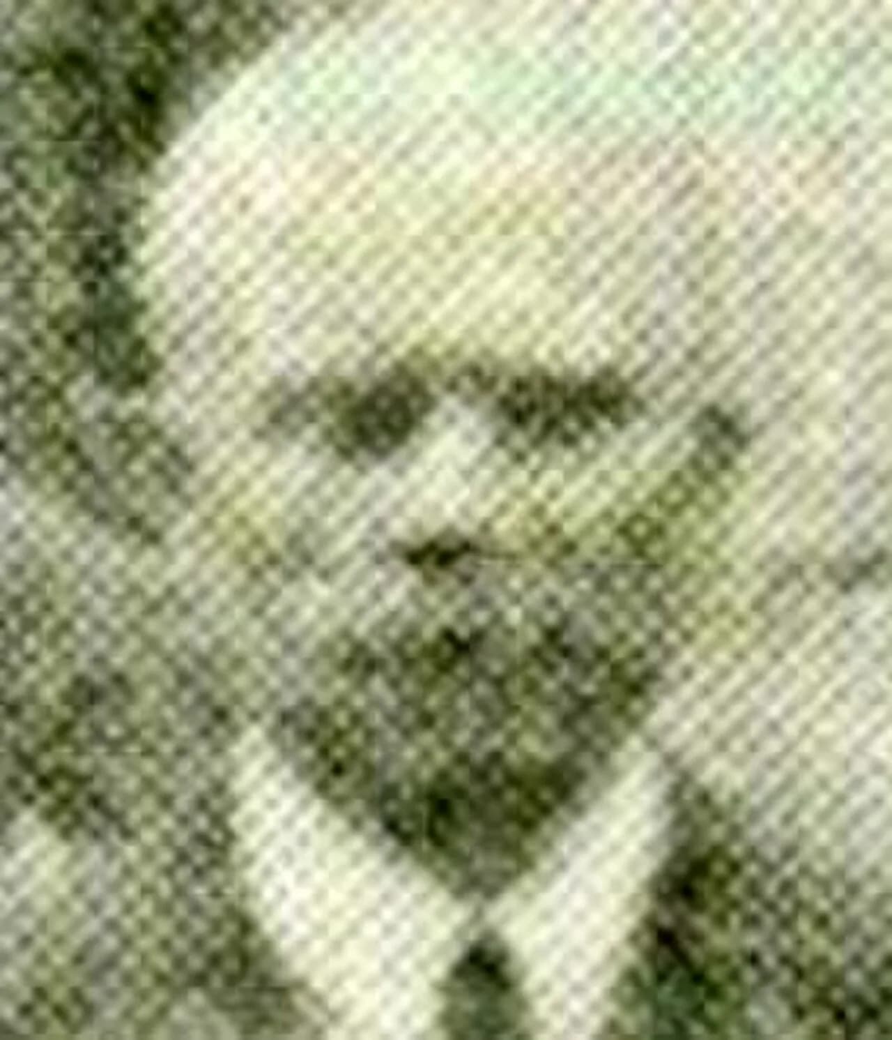 Andreas Knack