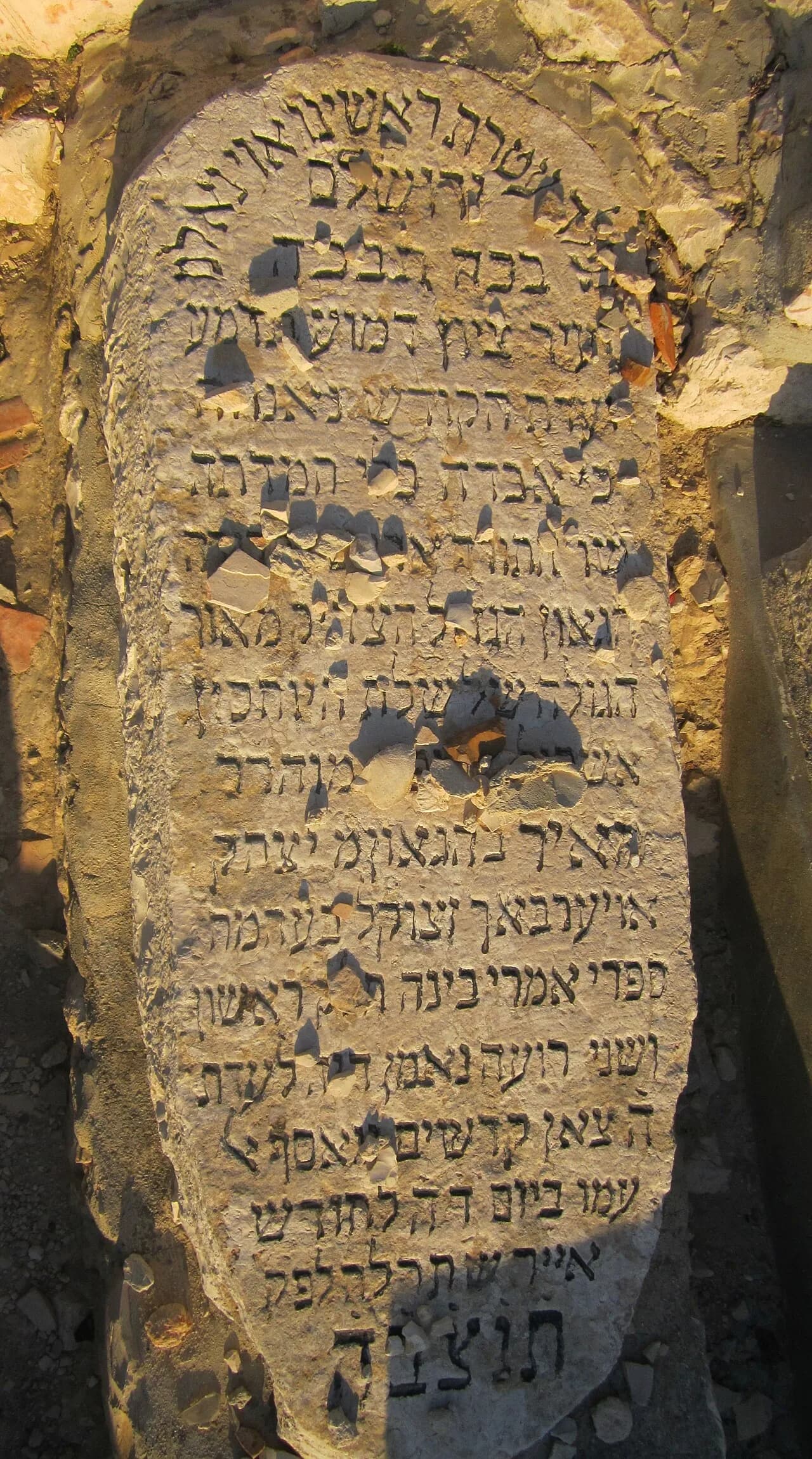 Meir Auerbach