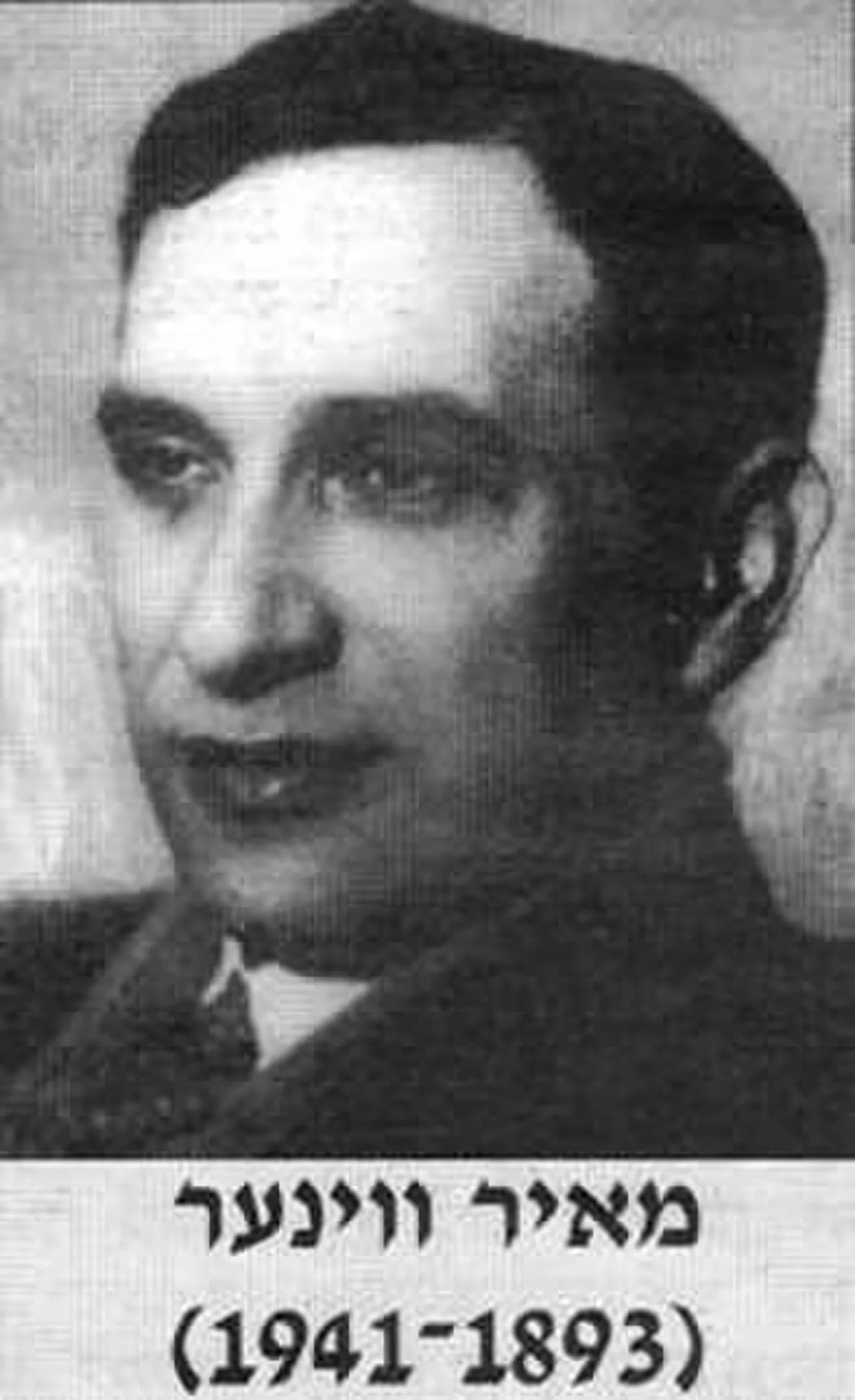 Meir Wiener