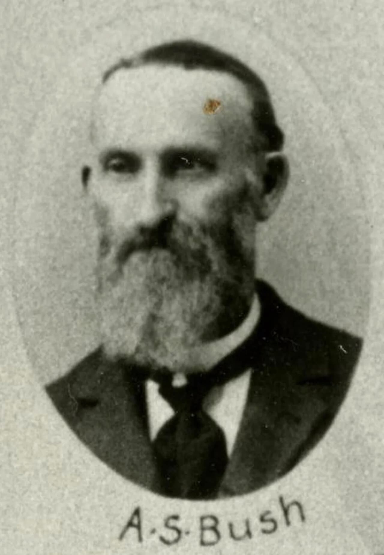 A. S. Bush
