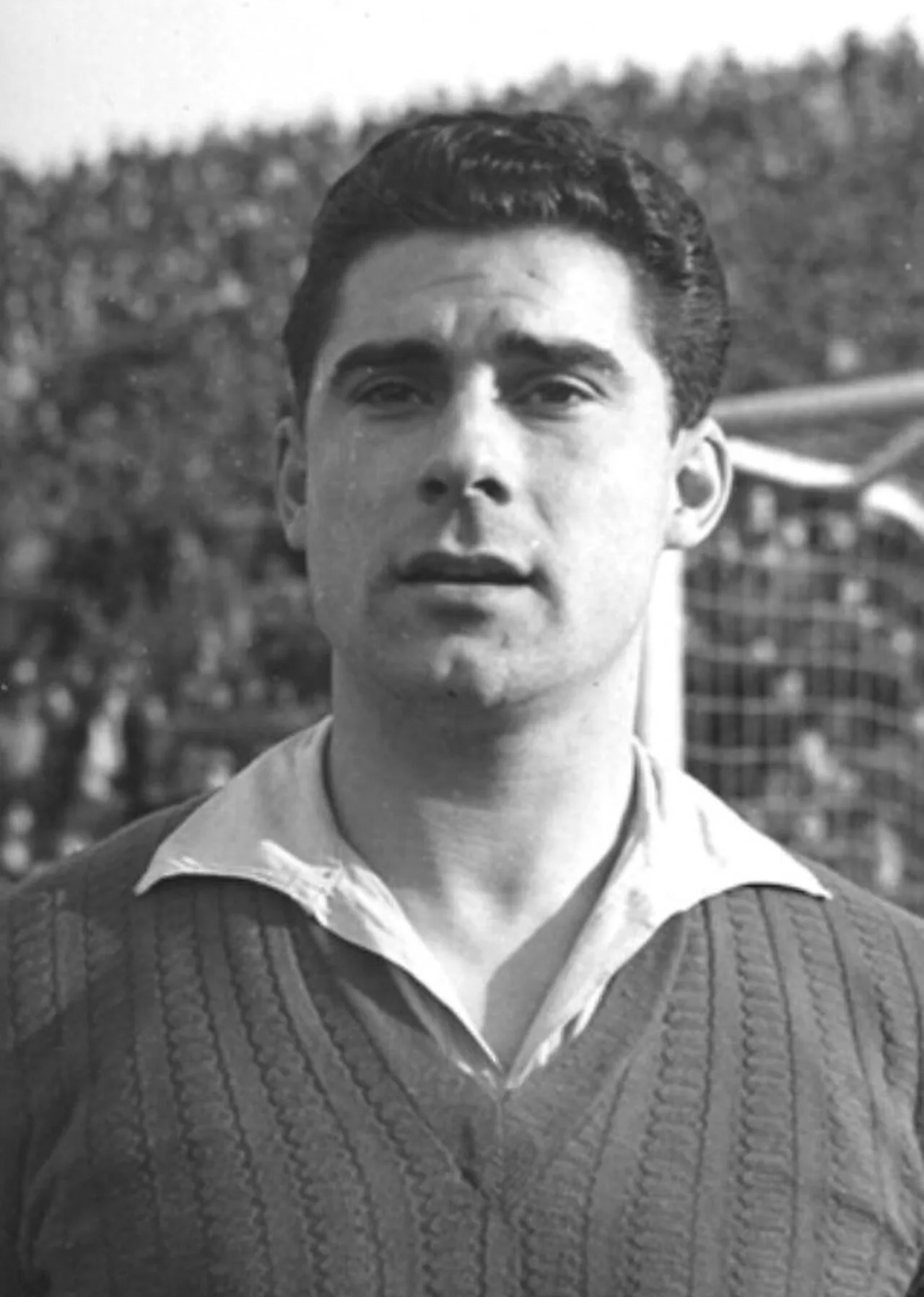 Francisco Javier Goicolea Areito