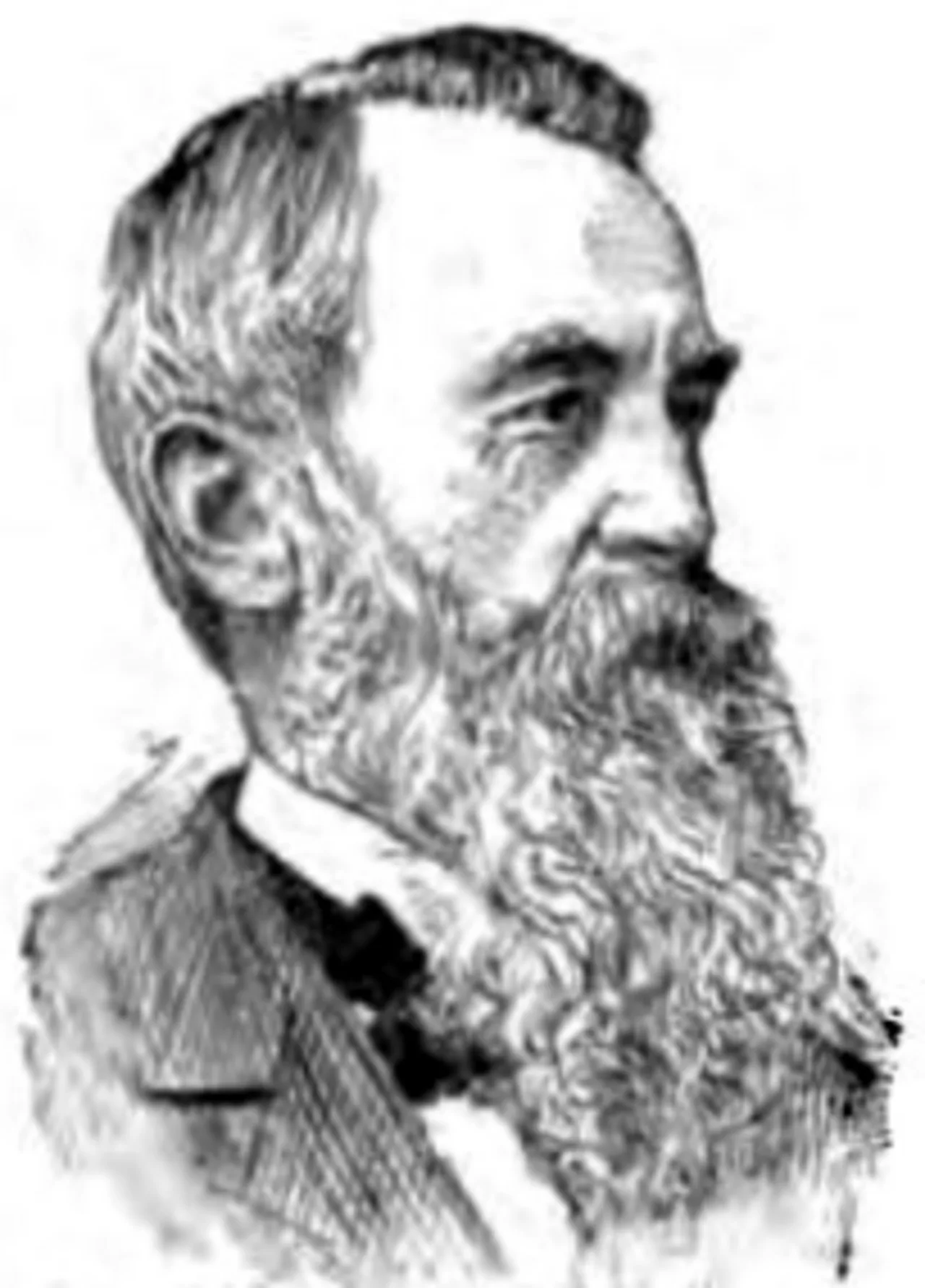 Nathaniel Job Hammond