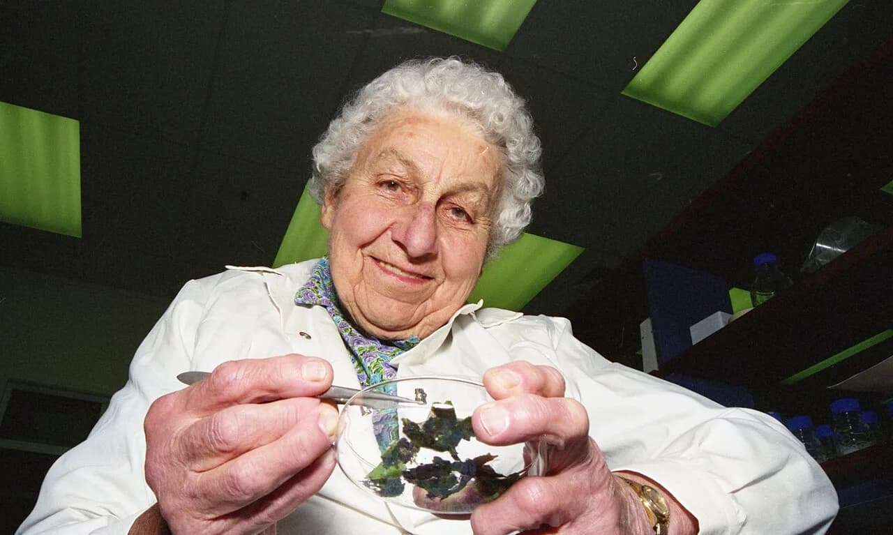 Ella Campbell