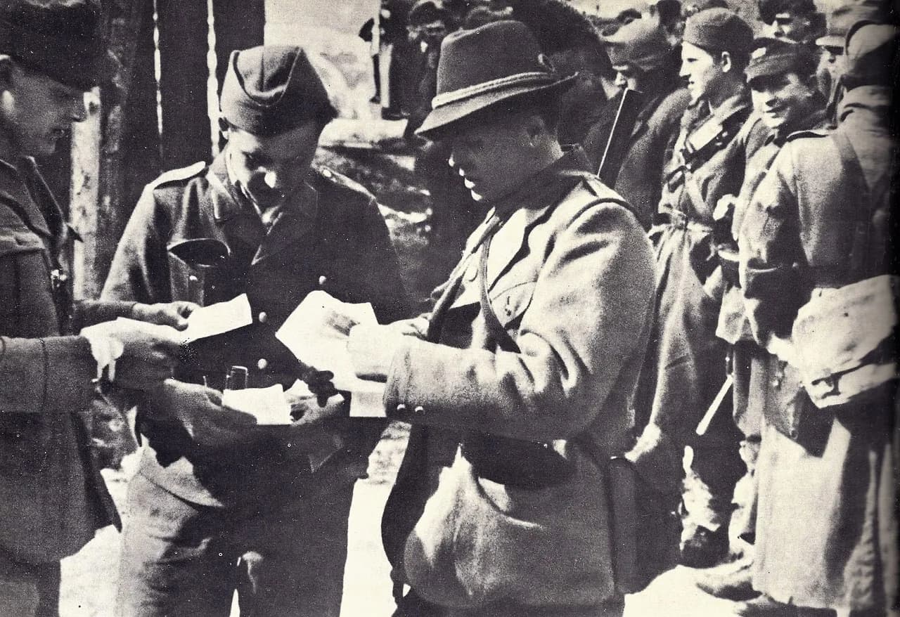 Mićo Došenović