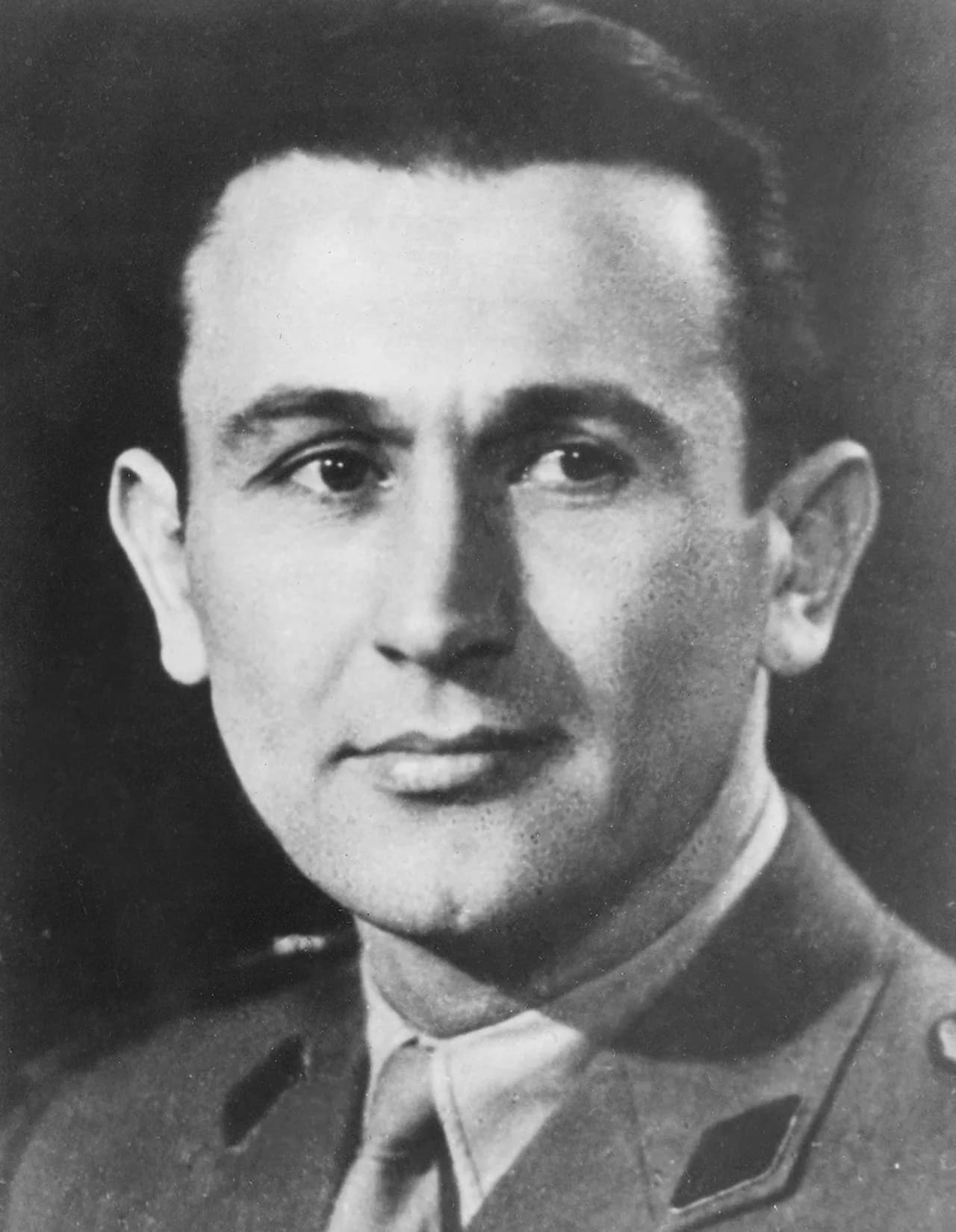 Danilo Komnenović