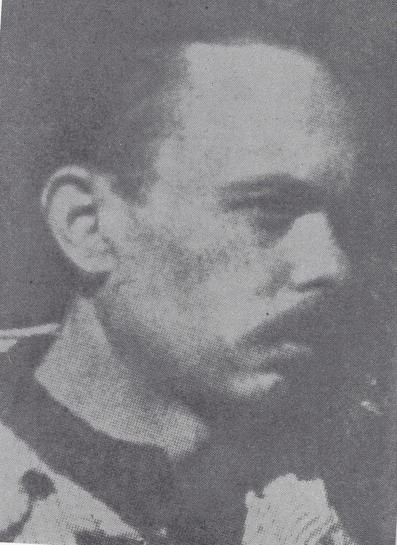 Naci Kranjec