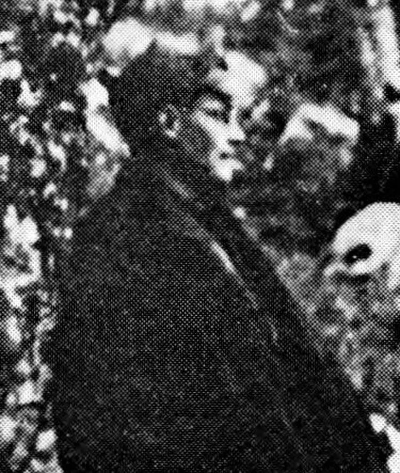 Cene Logar