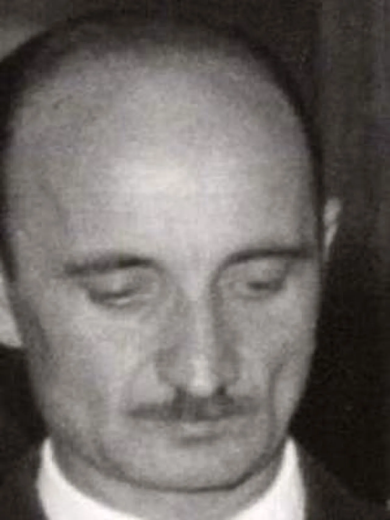 Vojin Nikolić