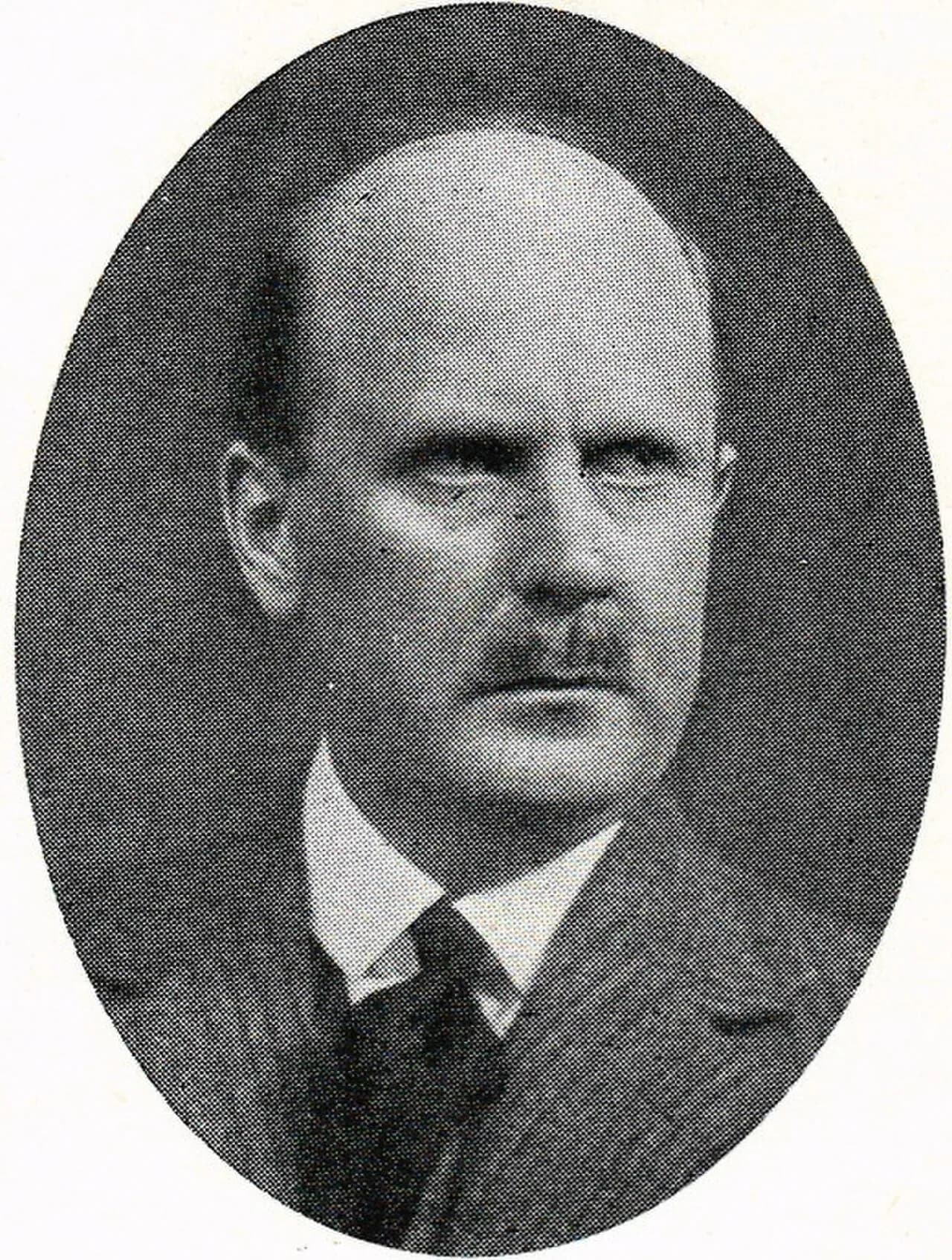 Dan Bergman