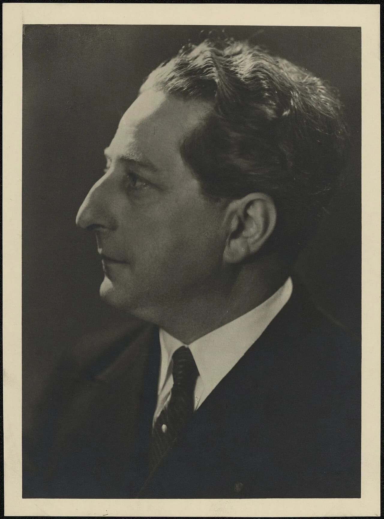 Leo van Puyvelde