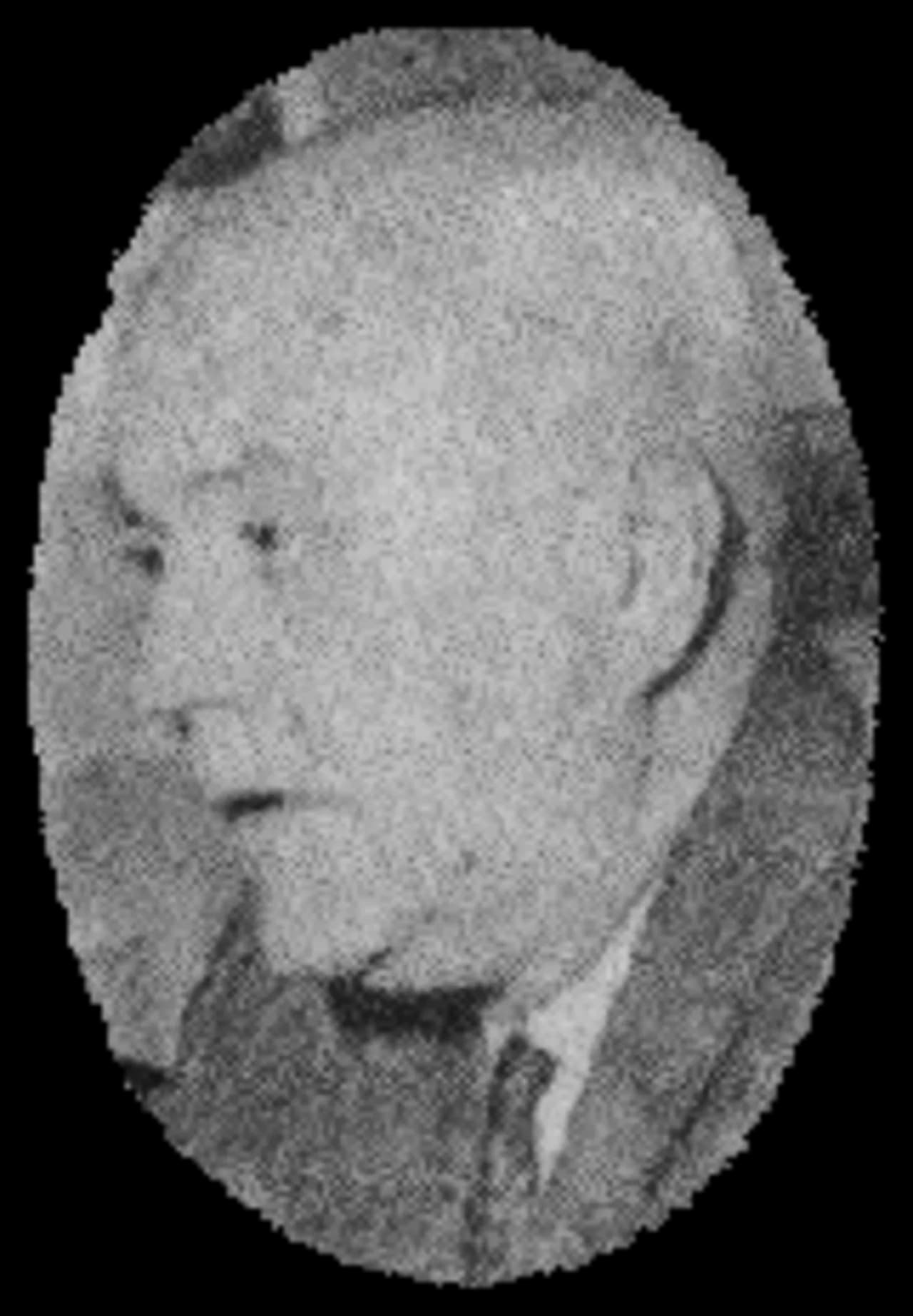 Carlos Christian Nielsen