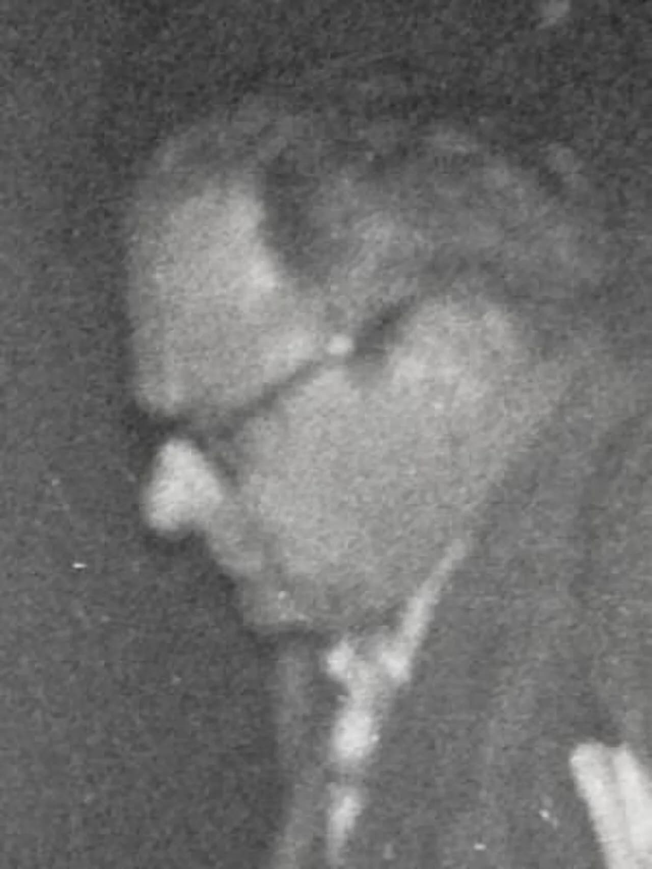 Semjon Abramowitsch Furman