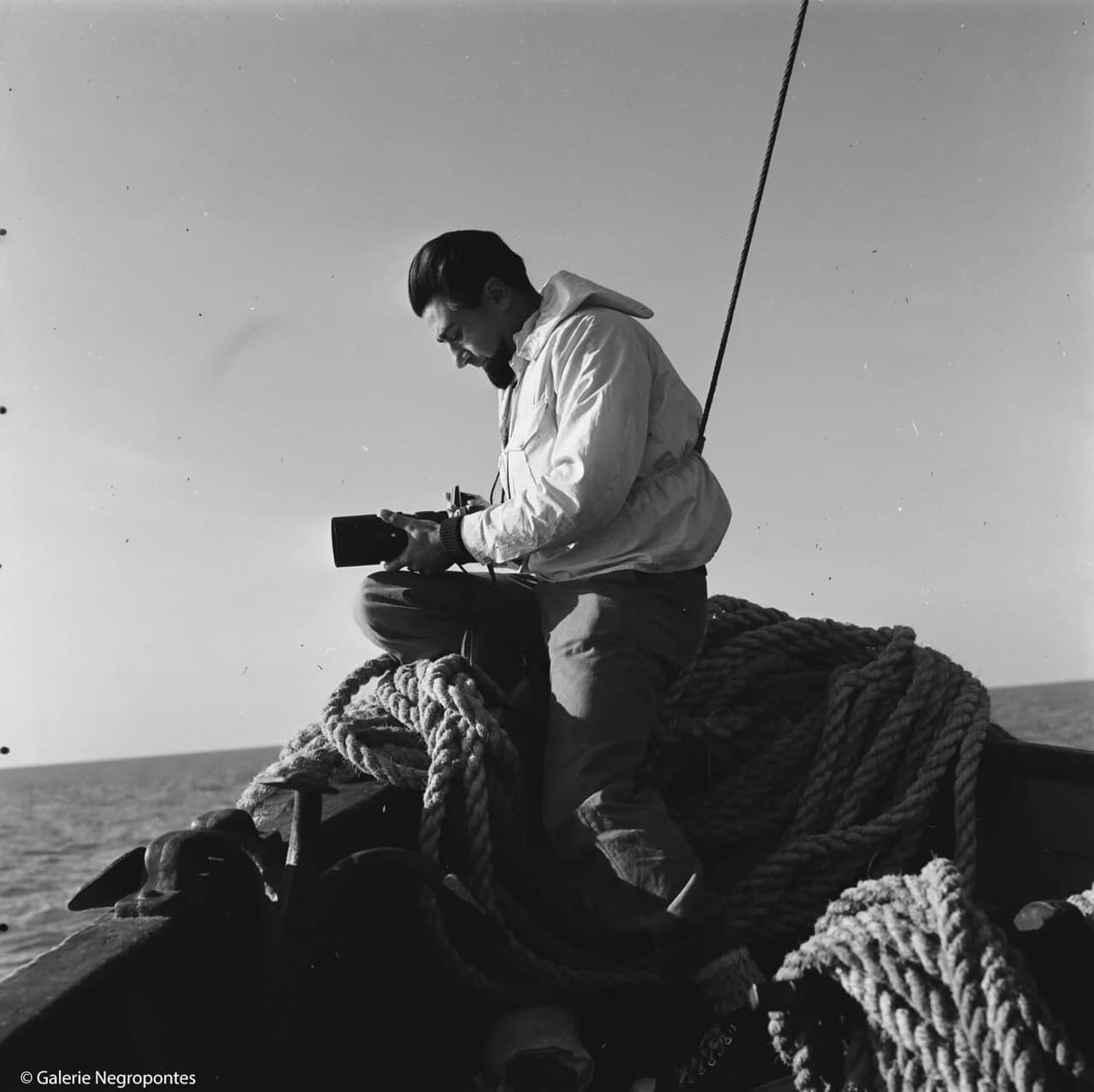 Dan Grigorescu