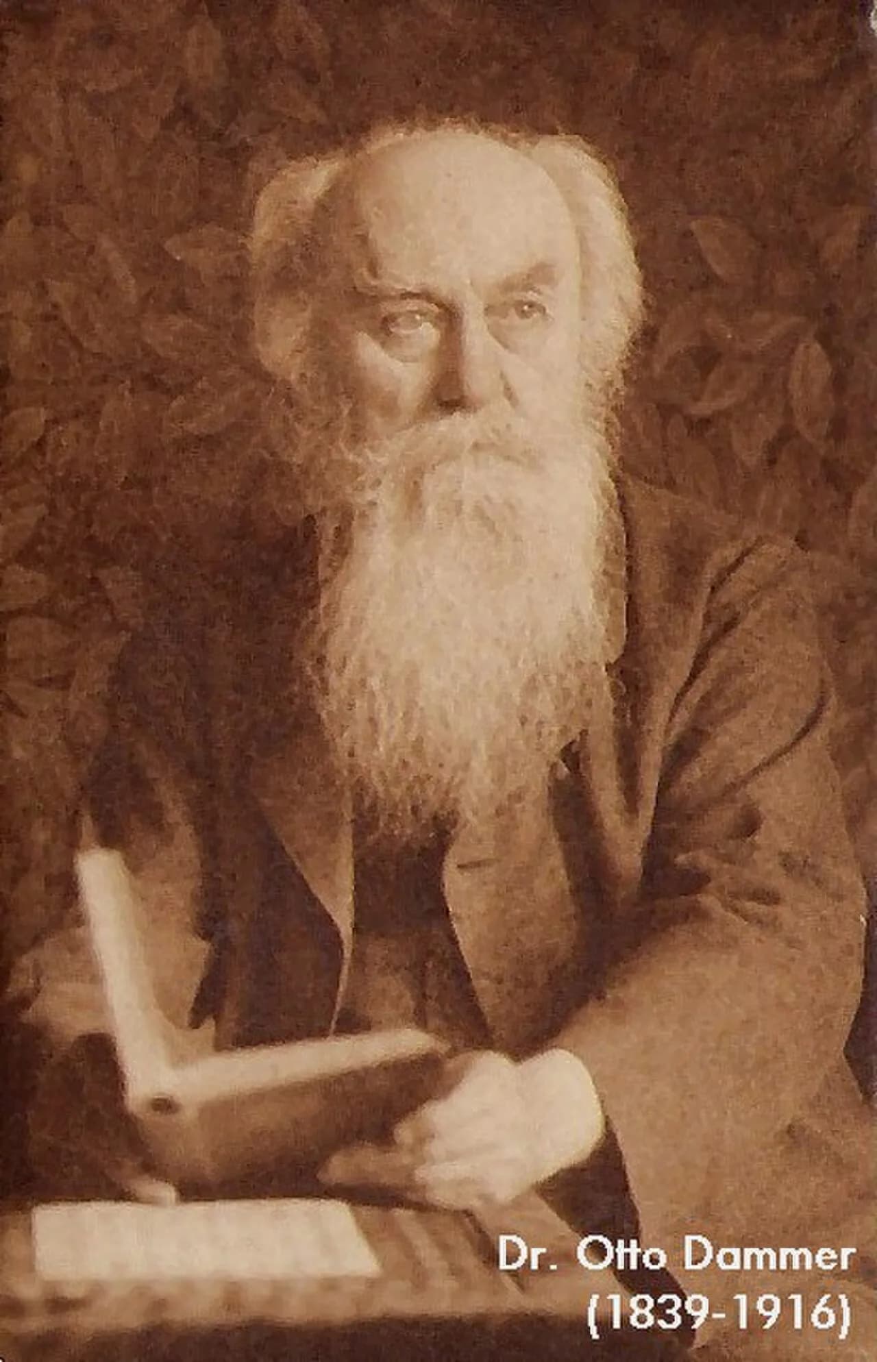 Otto Dammer