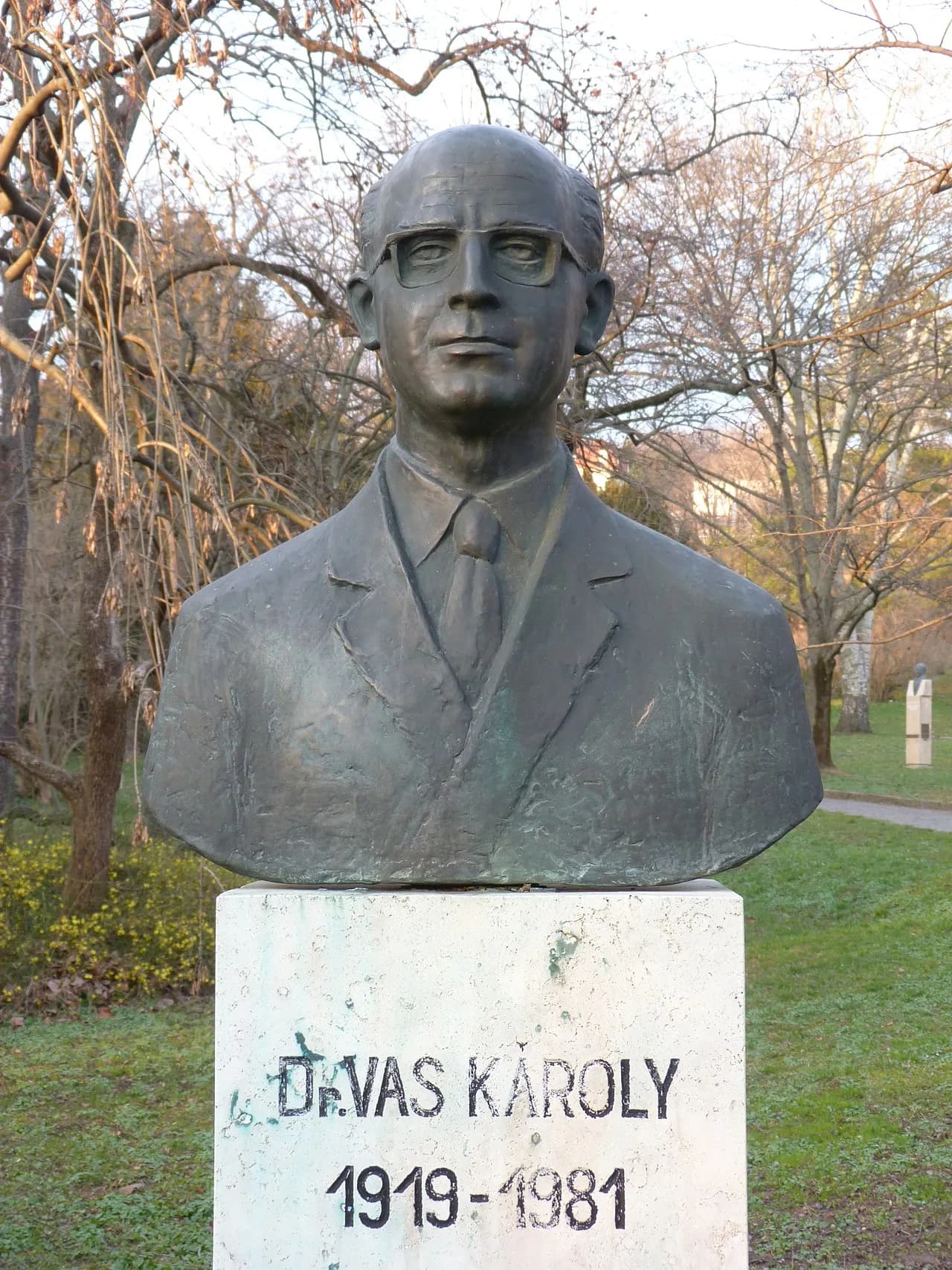 Károly Vas