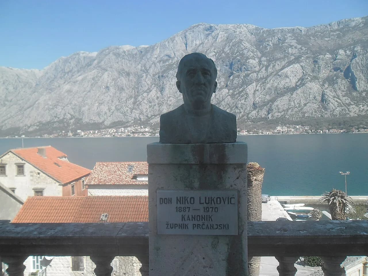 Niko Luković