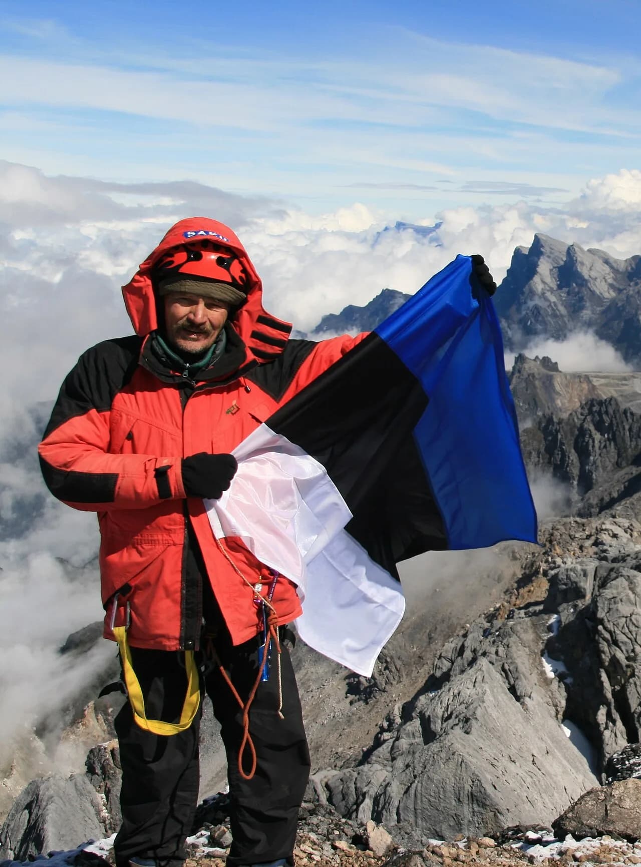 Tõivo Sarmet
