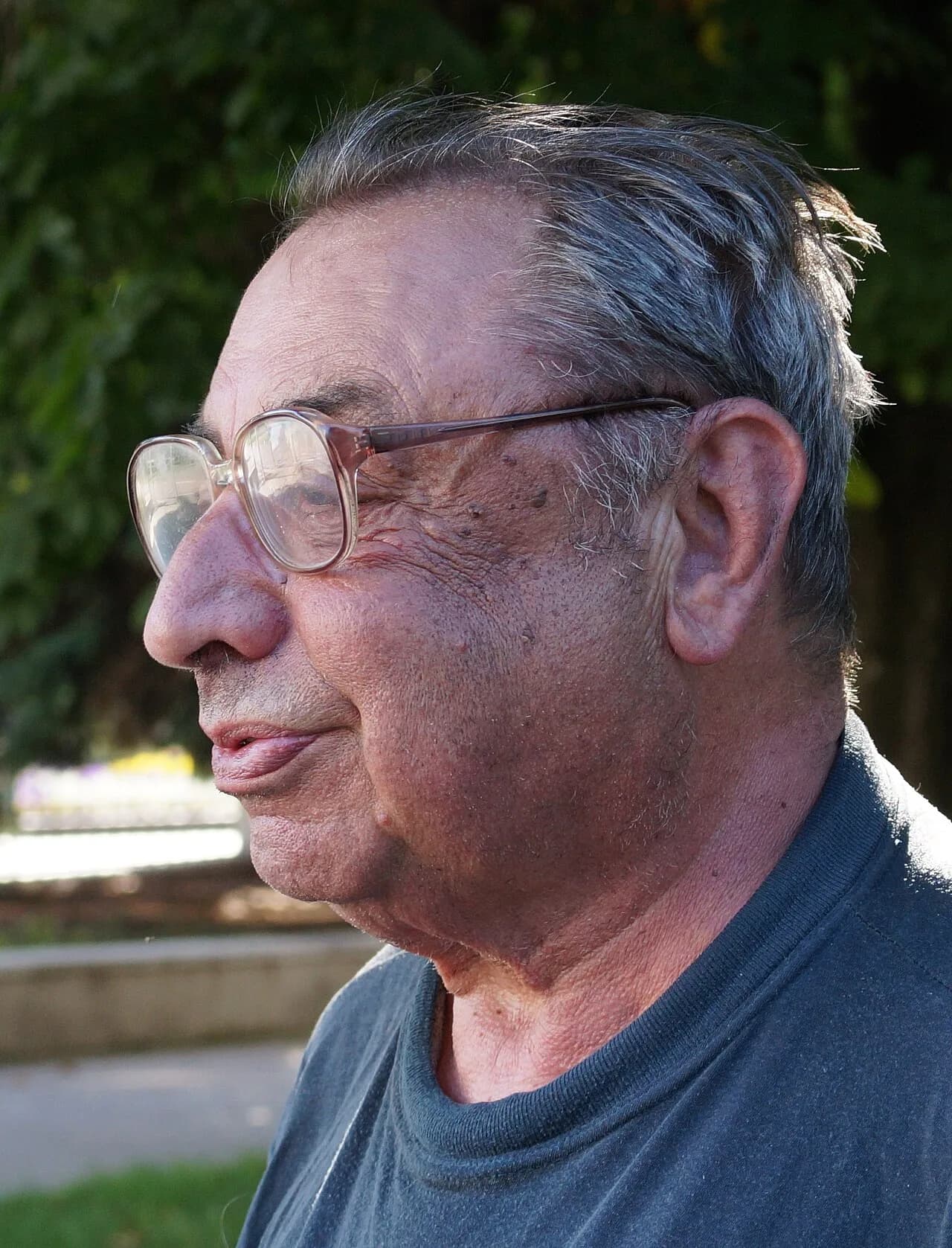 L. G. Frizman