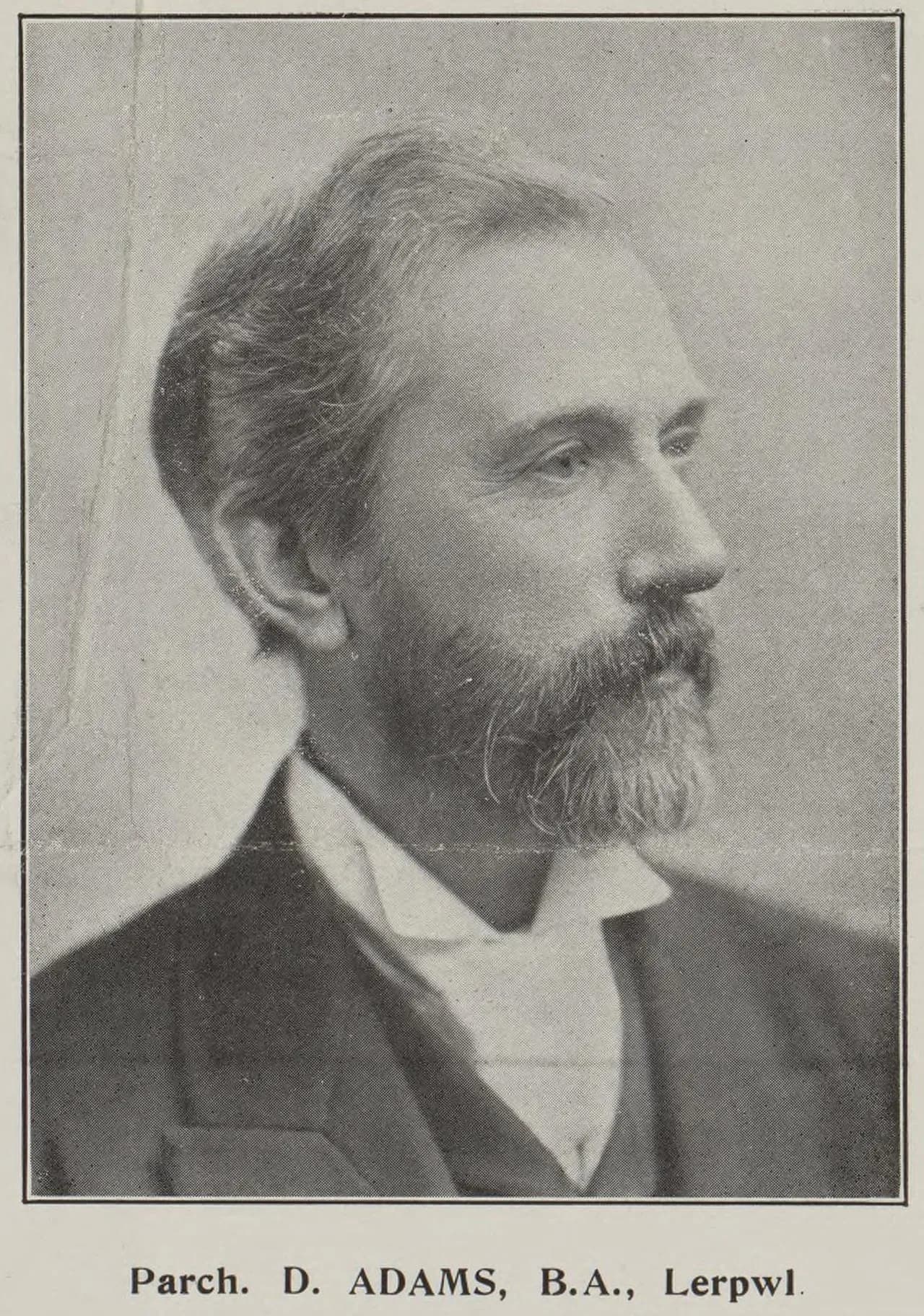 David Adams