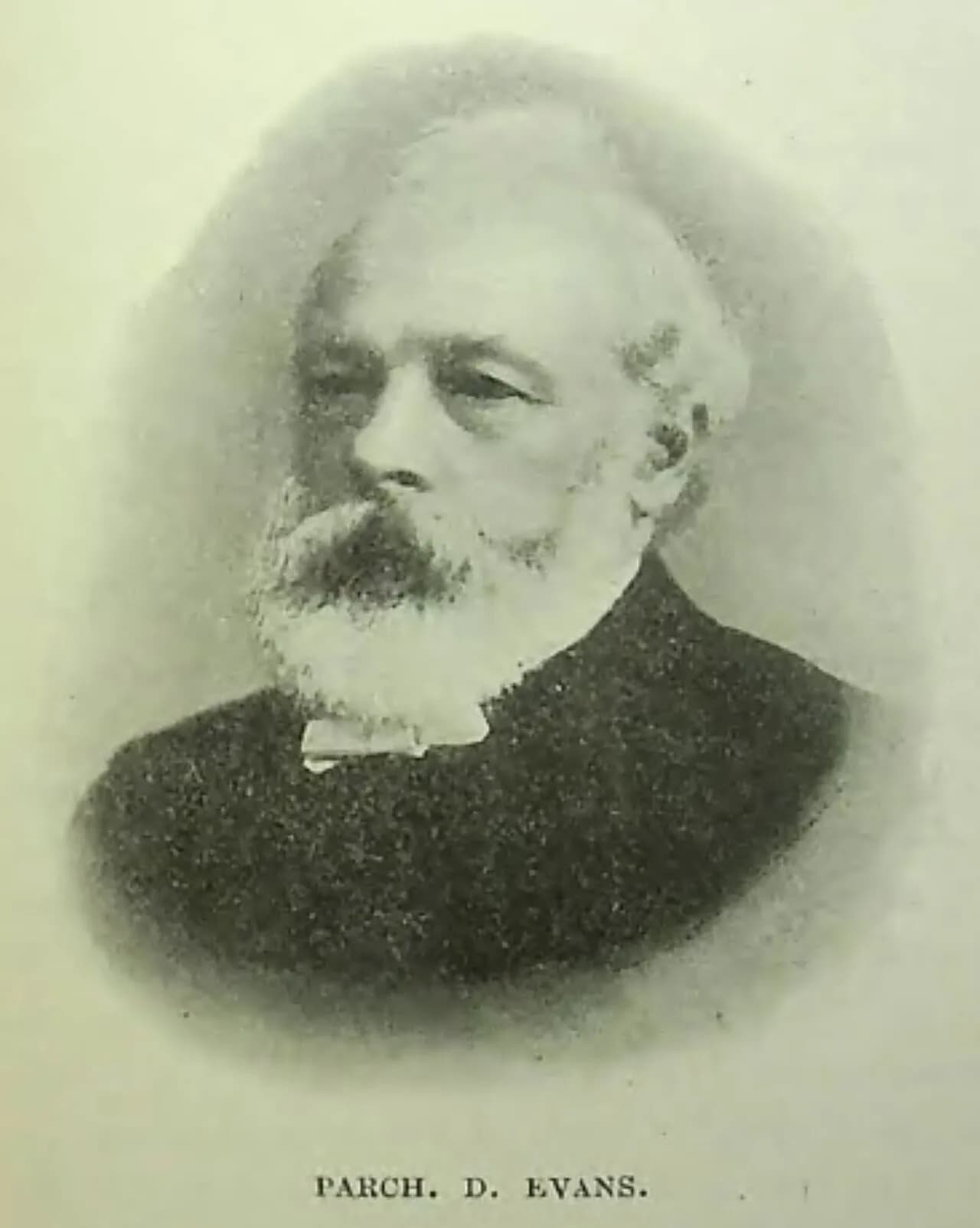 David Evans
