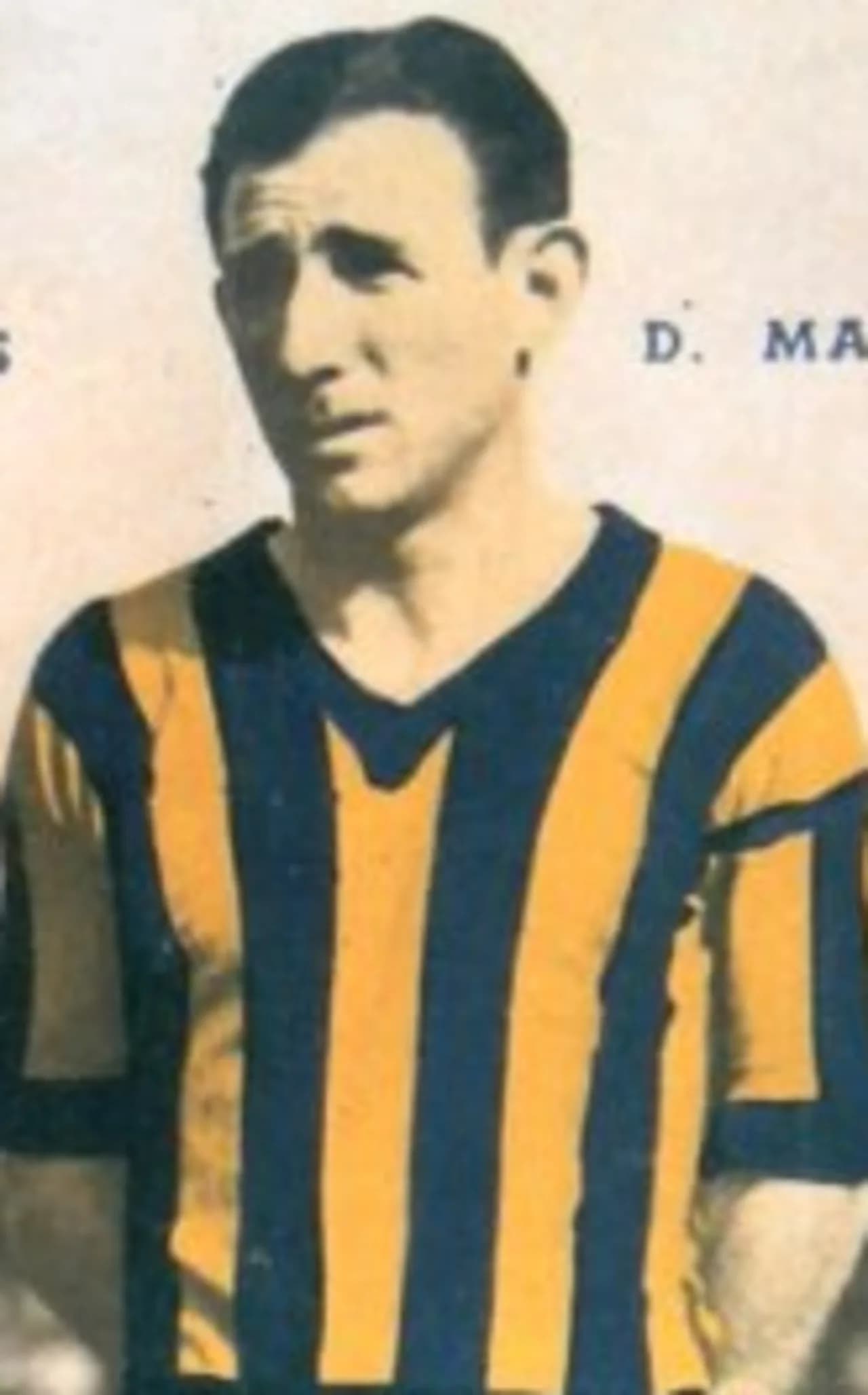 David Marcovich