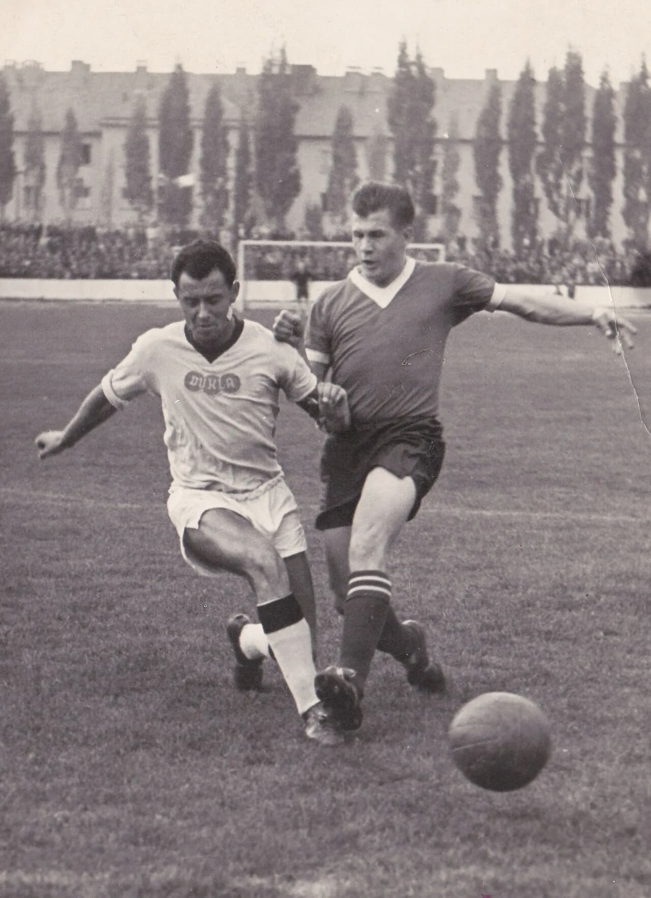 Jozef Schwarz
