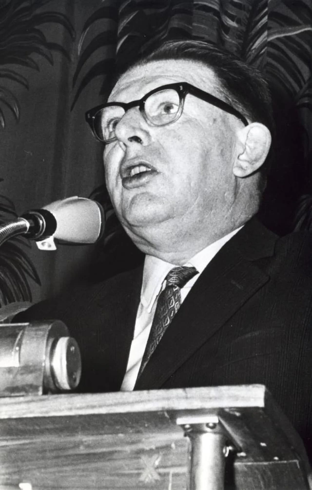 Eef Steenbergen