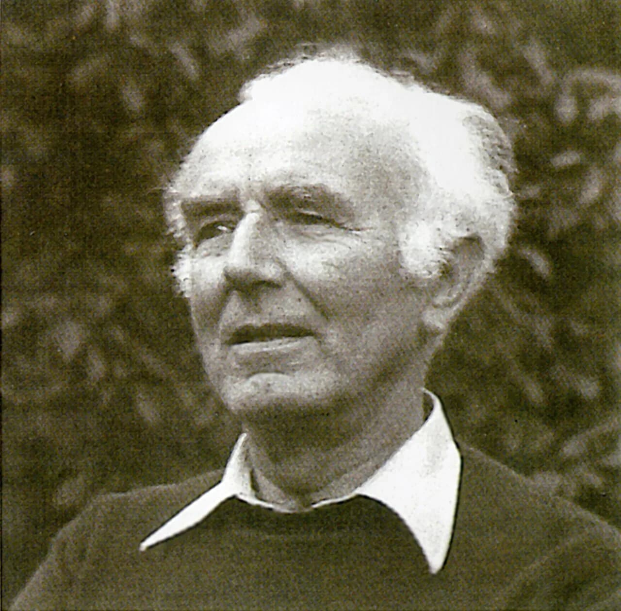 Georg Schaible