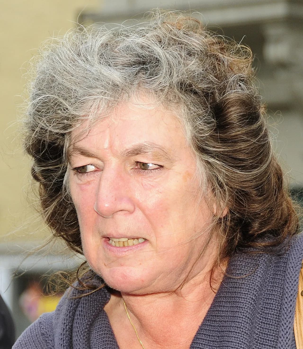 Reinhilde Decleir