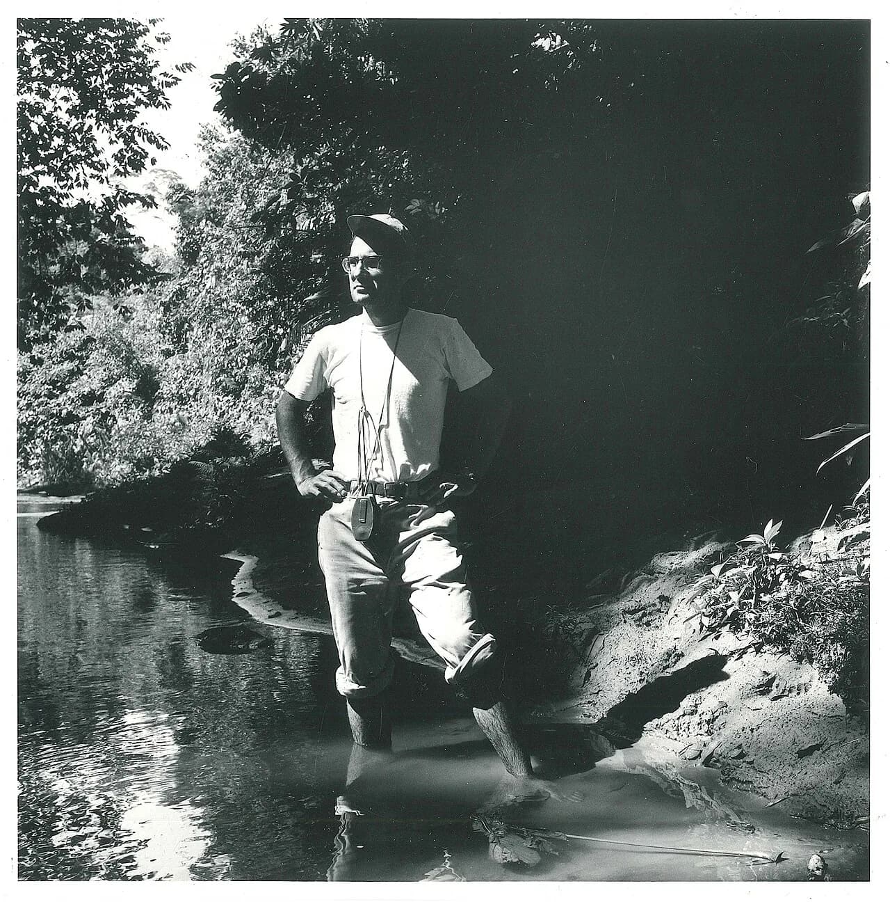 Robert L. Carneiro