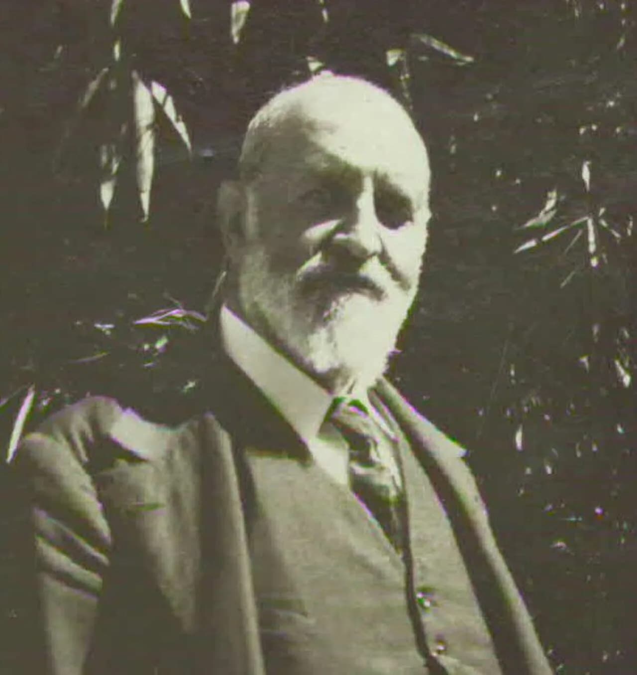 Antonio Cefaly