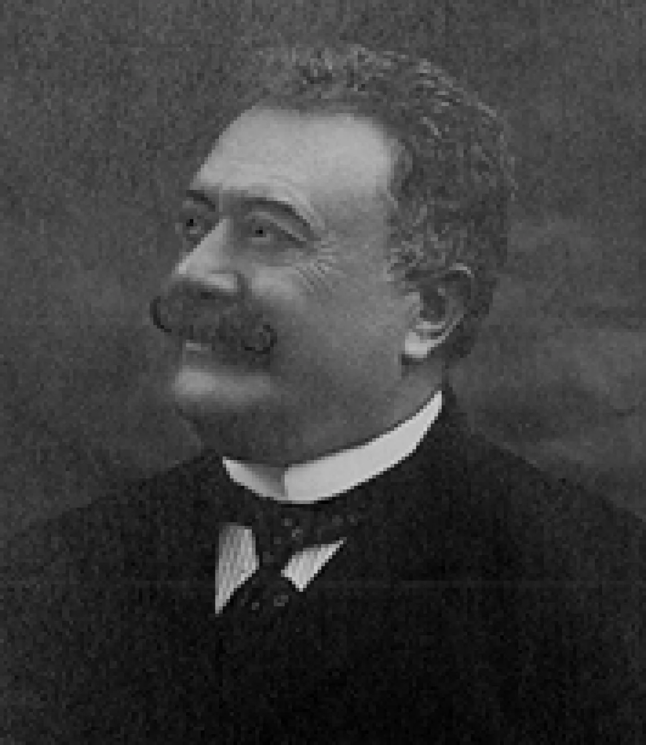 Luigi Dorigo