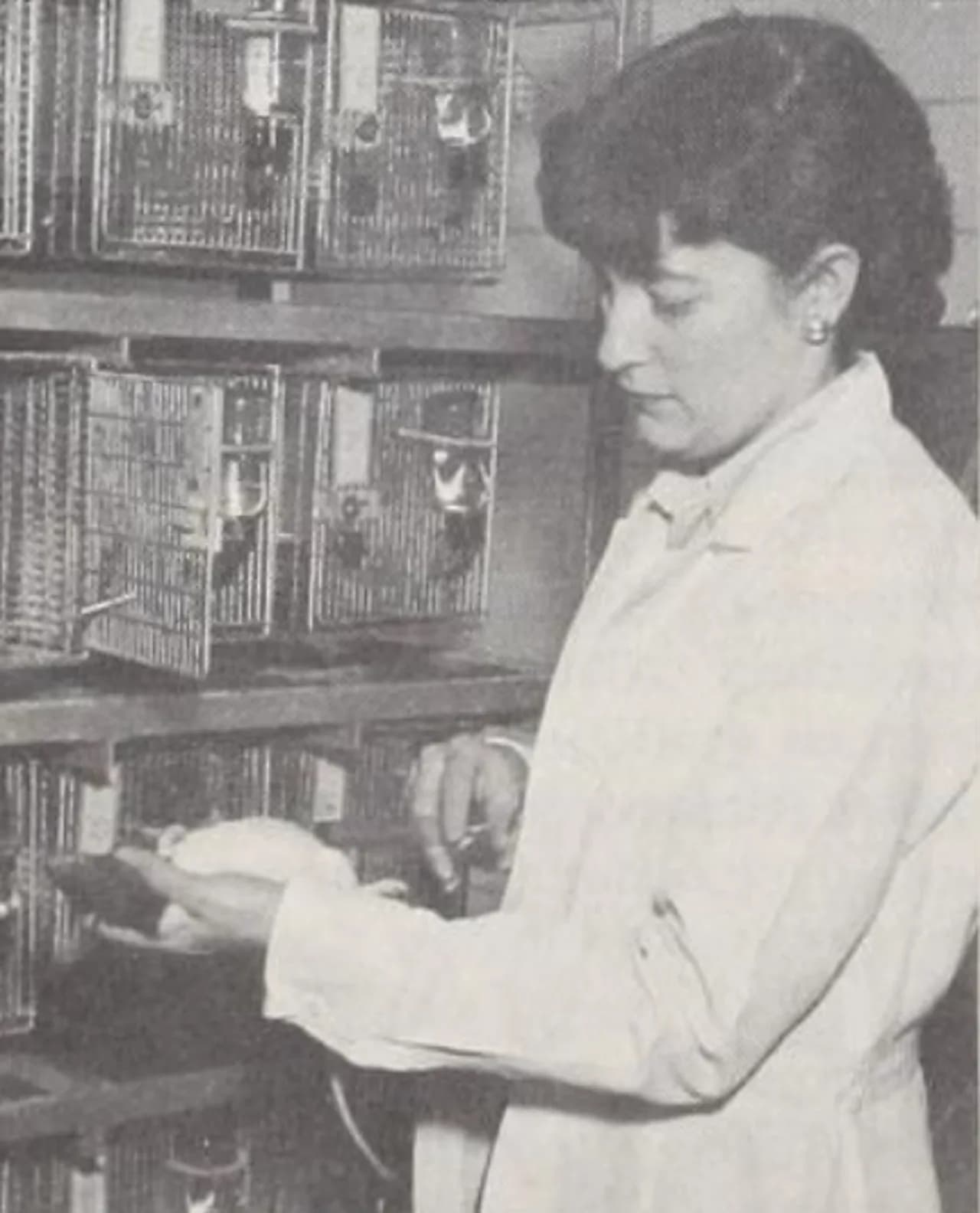 Doris Calloway