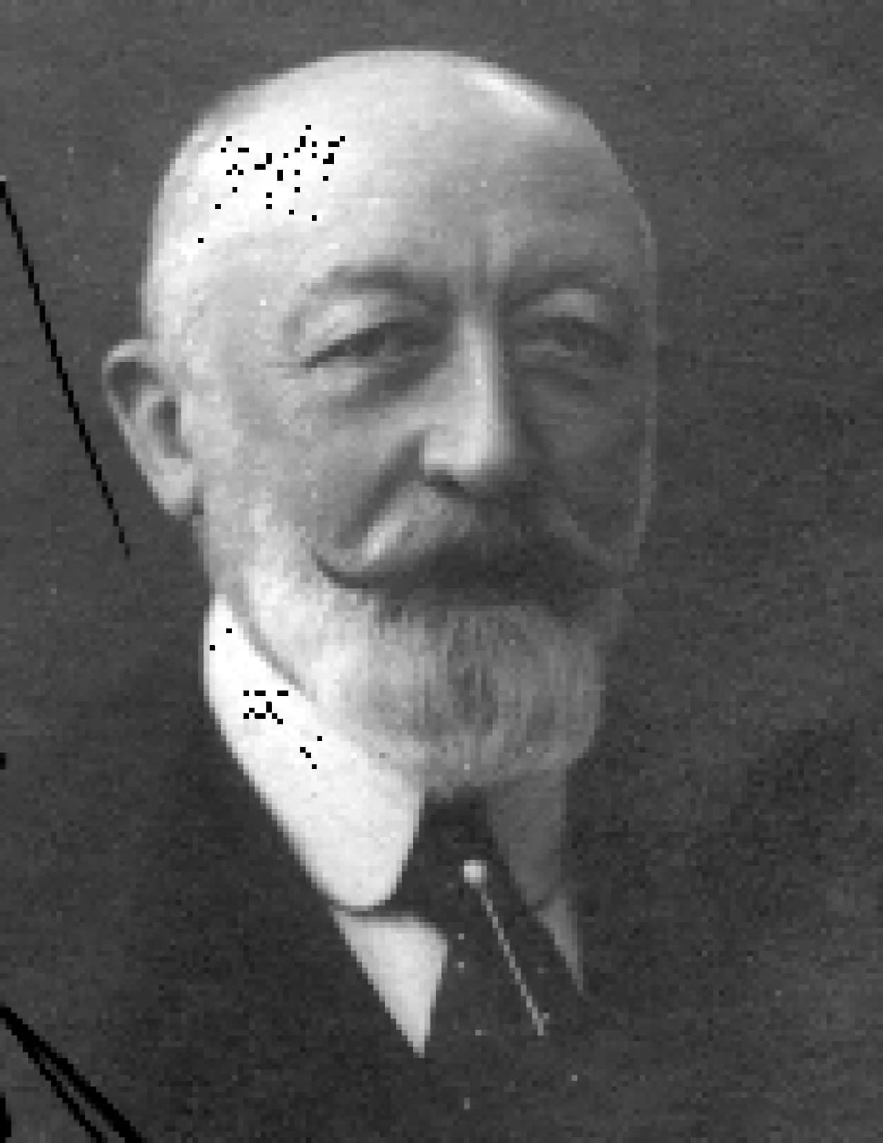 Alessandro Maino