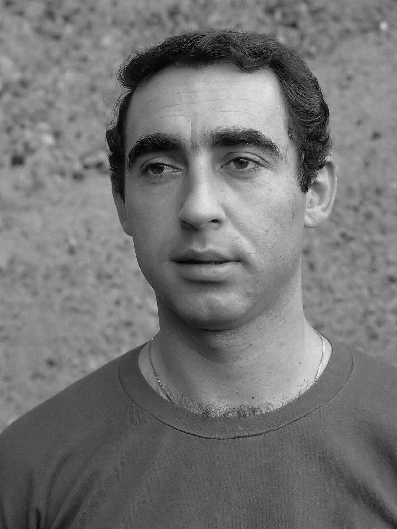 Nedeljko Bulatović
