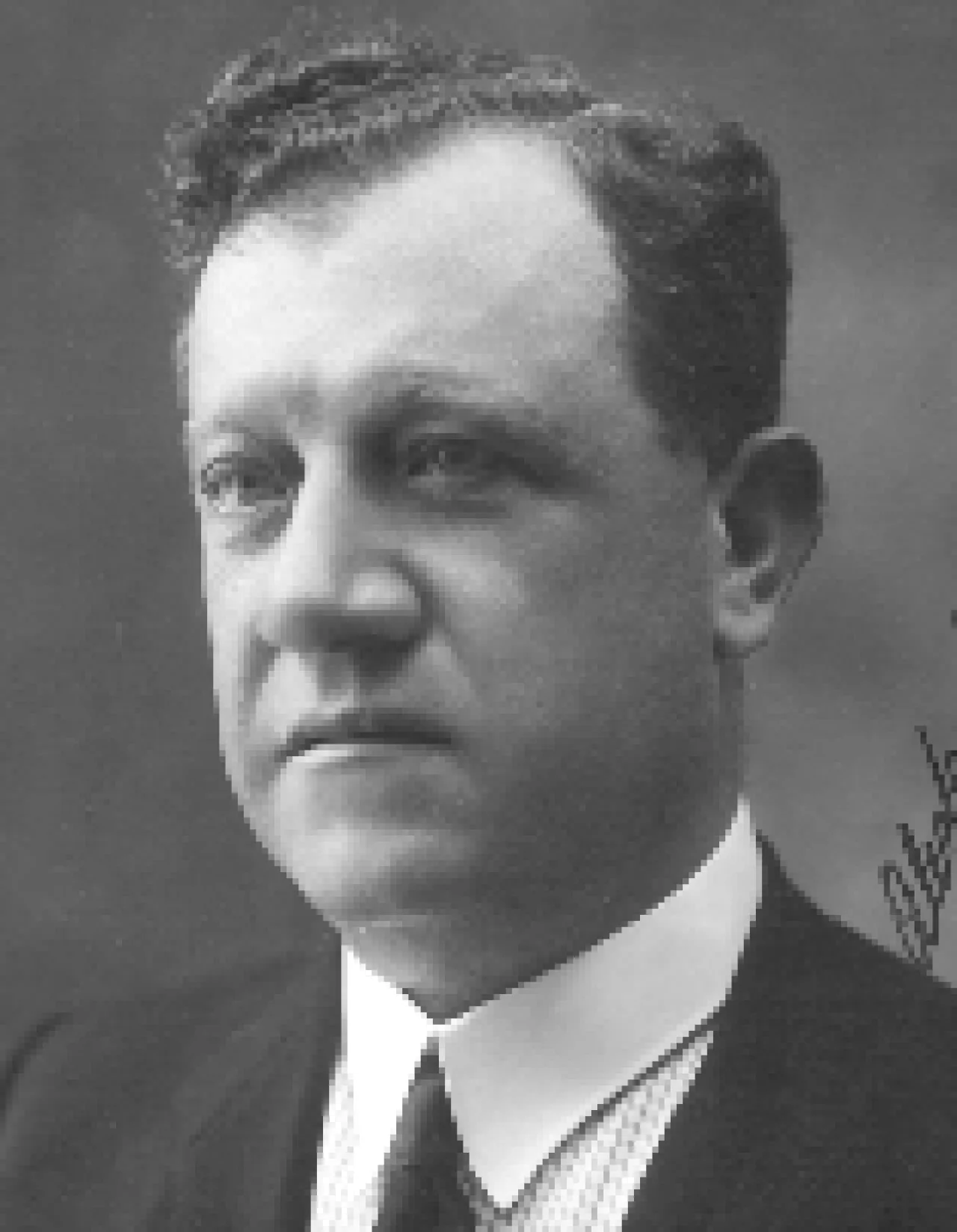 Alessandro Guaccero