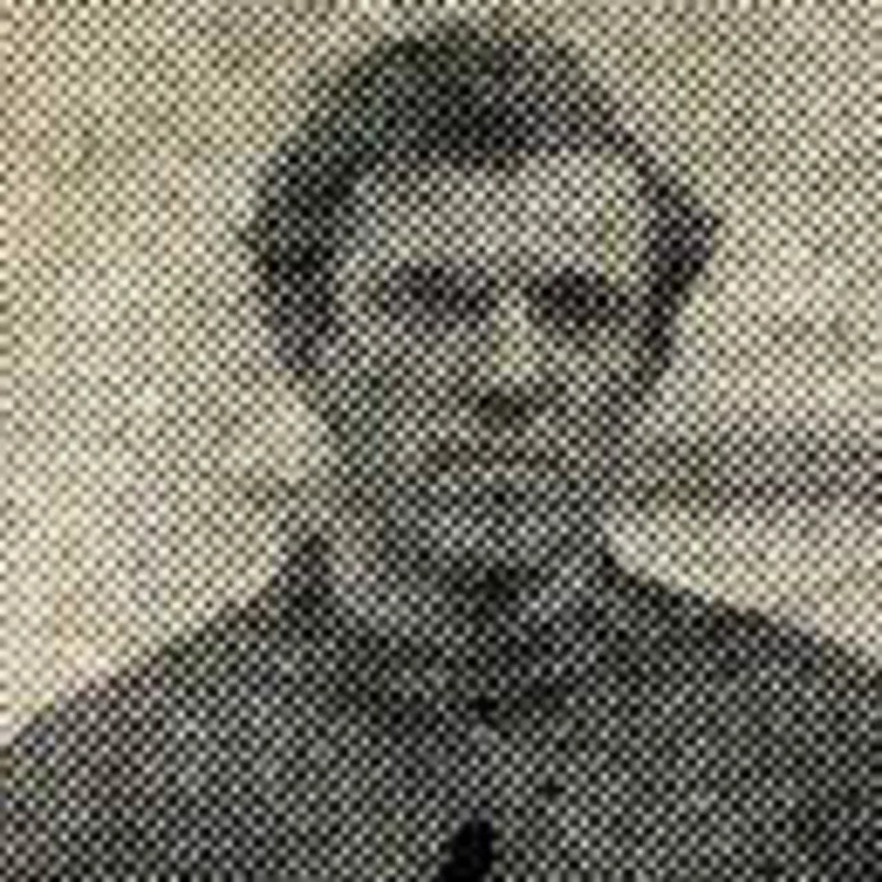 T. C. Locke