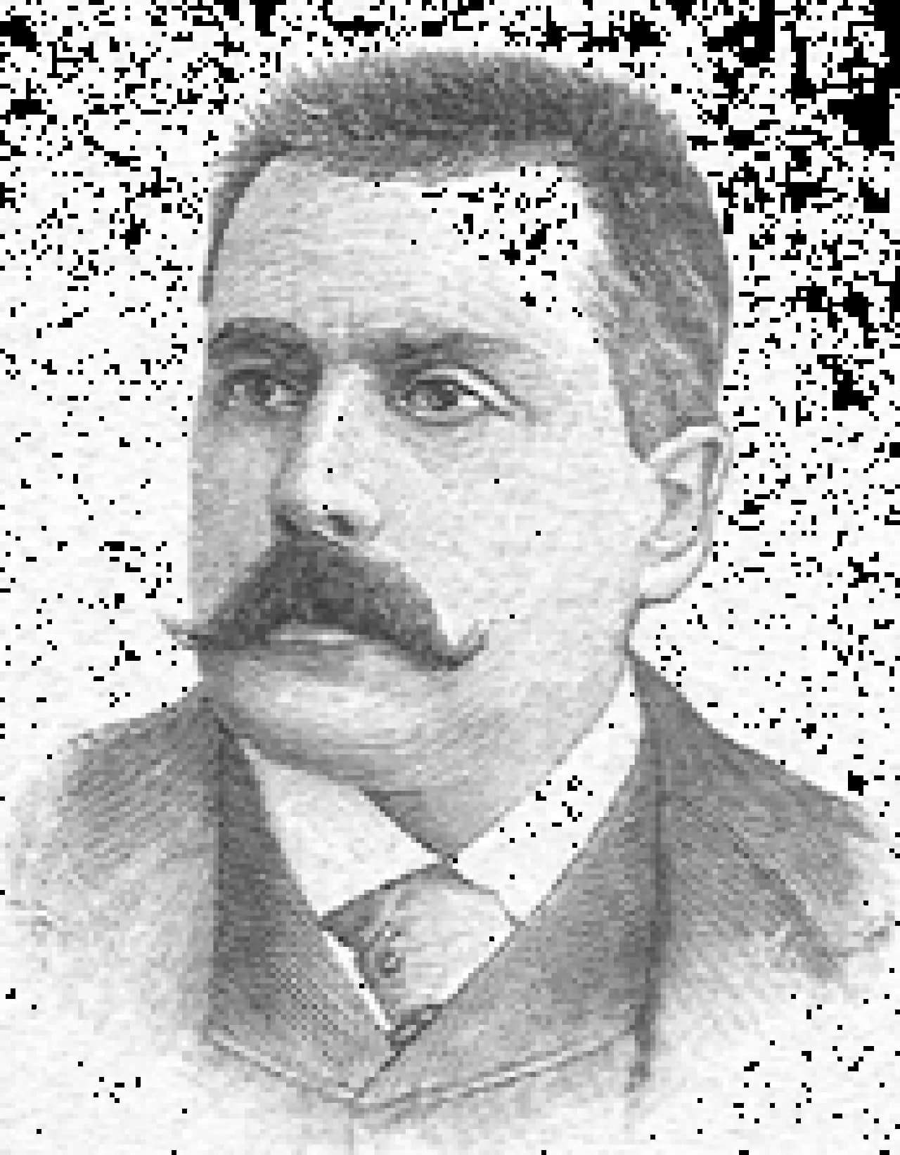 Nicola Vischi