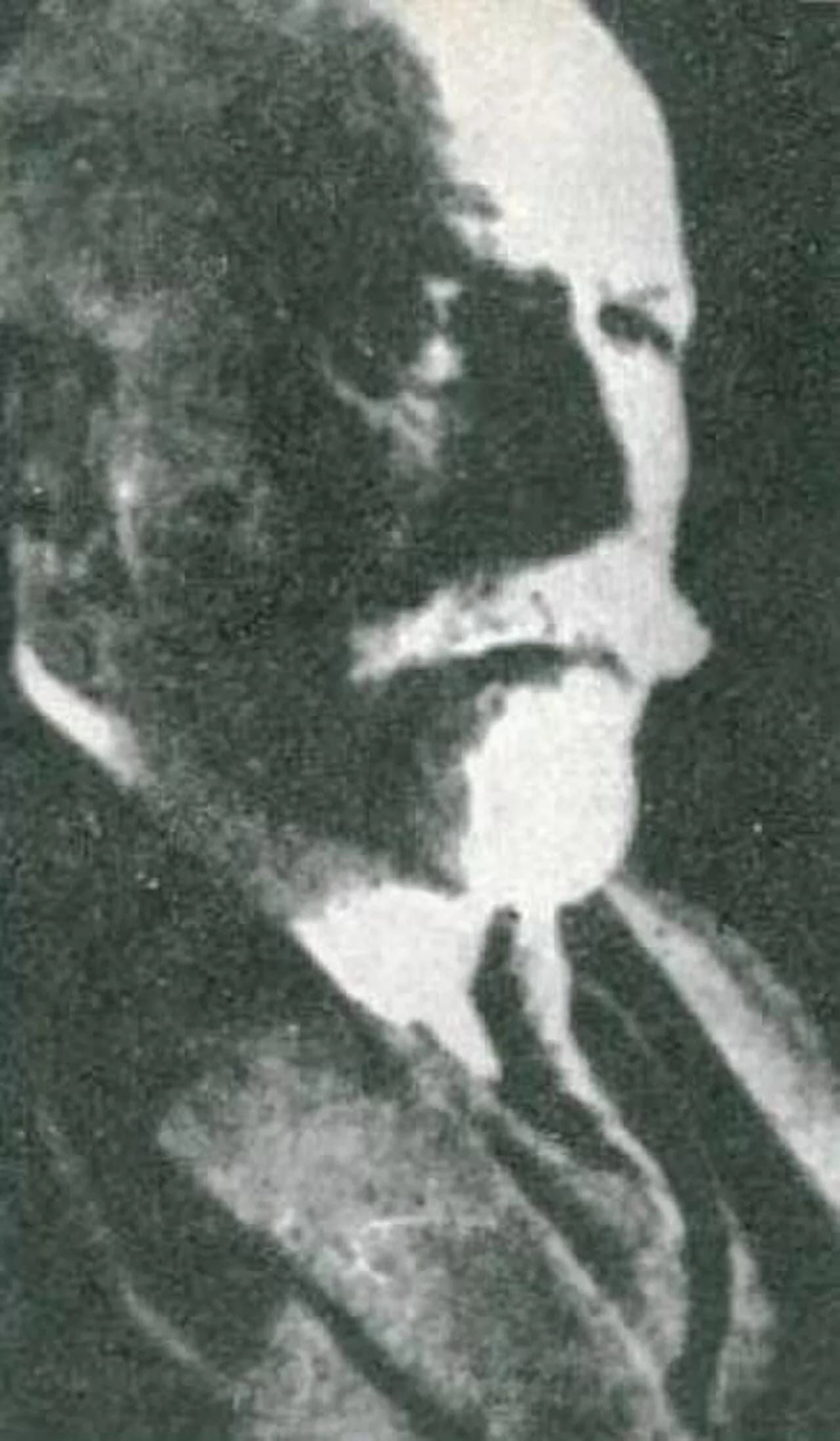 Georg Grassl