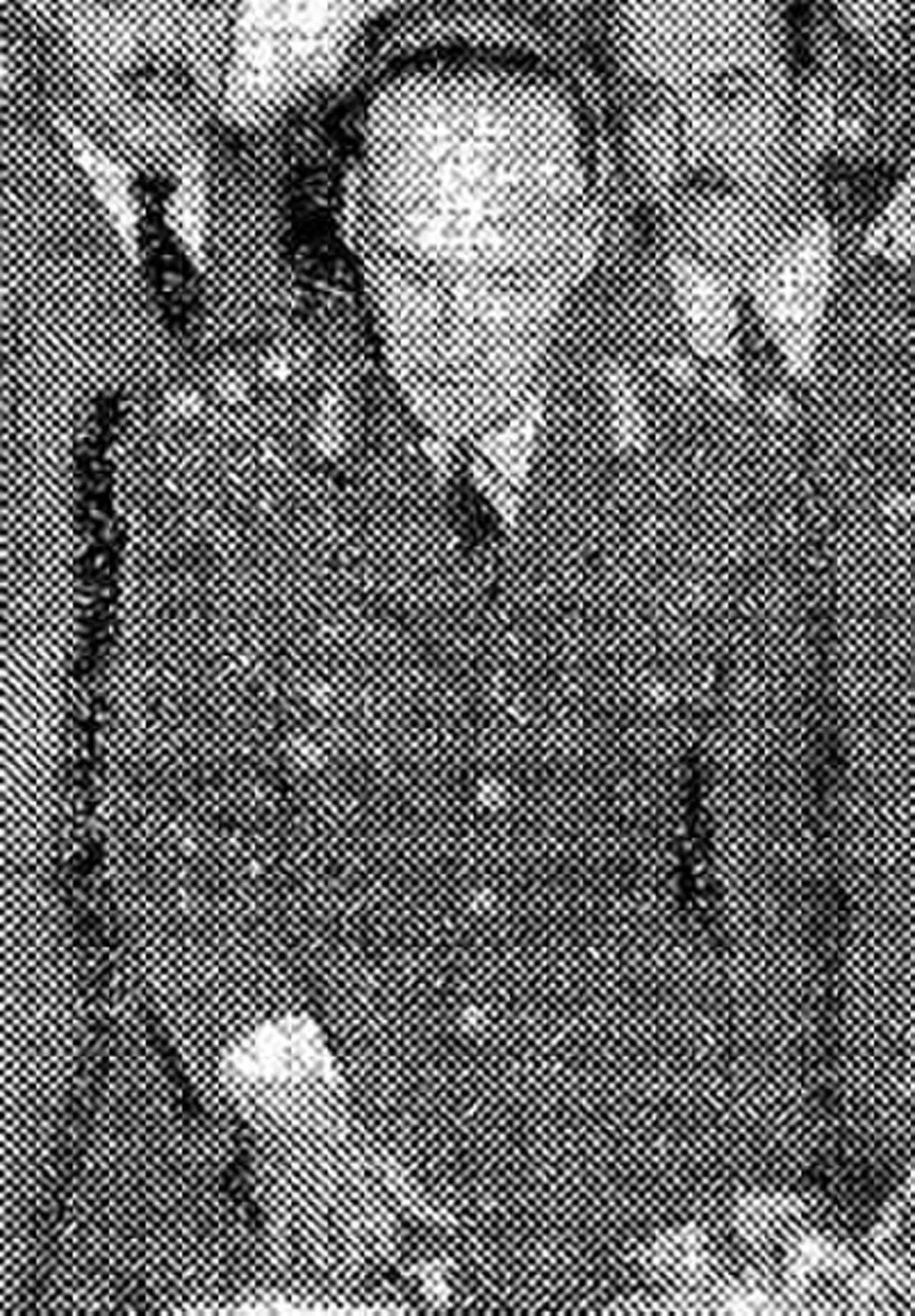 Víctor Jaime Majó